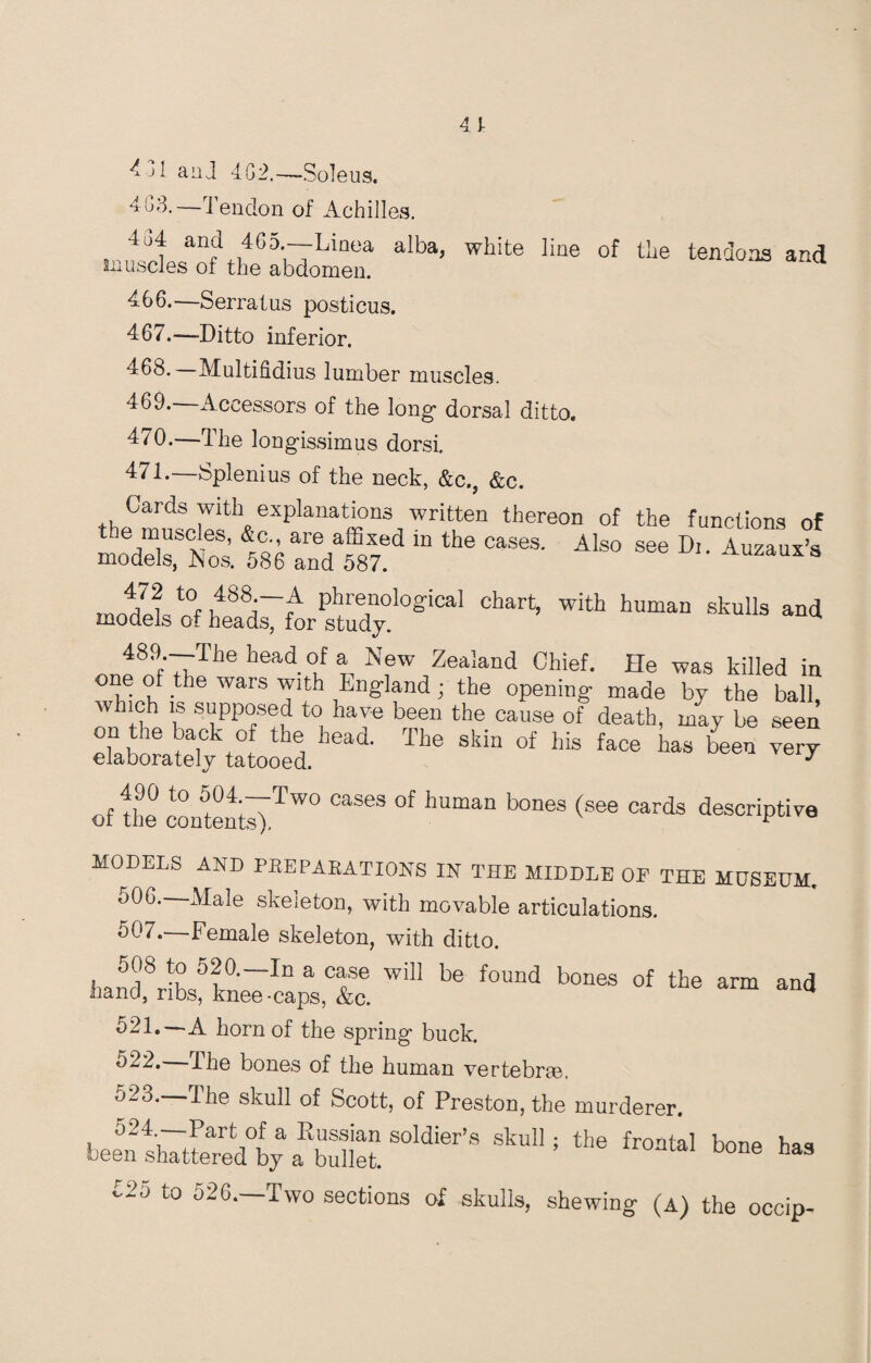 4 t 431 and 482 ■Soleus. '3.— Tendon of Achilles. btO 4o4 and 465.—-Linea alba, white line of the tendons and muscles of the abdomen. 466. —Serratus posticus. 467. —Ditto inferior. 468. Multifidius lumber muscles. 469. —Accessors of the long- dorsal ditto. 470. —The long-issimus dorsi, 471. —Splenius of the neck, &c., &c. Cards with explanations written thereon of the functions of tee muscles, &c., are affixed in the cases. Also see Di Auzaux’s models, iNos. 586 and 587. Auzauxs chart>with humau sku119 and 489f TTTile iiea,<1. (!f ® New Zealand Chief. He was killed in one of the wars with England; the opening made by the ball which is supposed to have been the cause of death, may be seen eTaS,Ckta0Ued.head- ^ ^ ^ ^ of the contentsy^W° CaS6S °f hUmaD b°neS (see cards de8oriP‘i™ models and preparations in the middle of the museum. 506.—Male skeleton, with movable articulations. Female skeleton, with ditto. 508 to 520.—In a case will be found bones of the arm and hand, ribs, knee-caps, &c. Q 521.—A horn of the spring- buck. h22. The bones of the human vertebrae, o23.—The skull of Scott, of Preston, the murderer. been shattoed°by a^bullet. Sold'er's sku11 ^ ^ntal bone has £25 to 526.—Two sections of skulls, shewing (a) the occip-