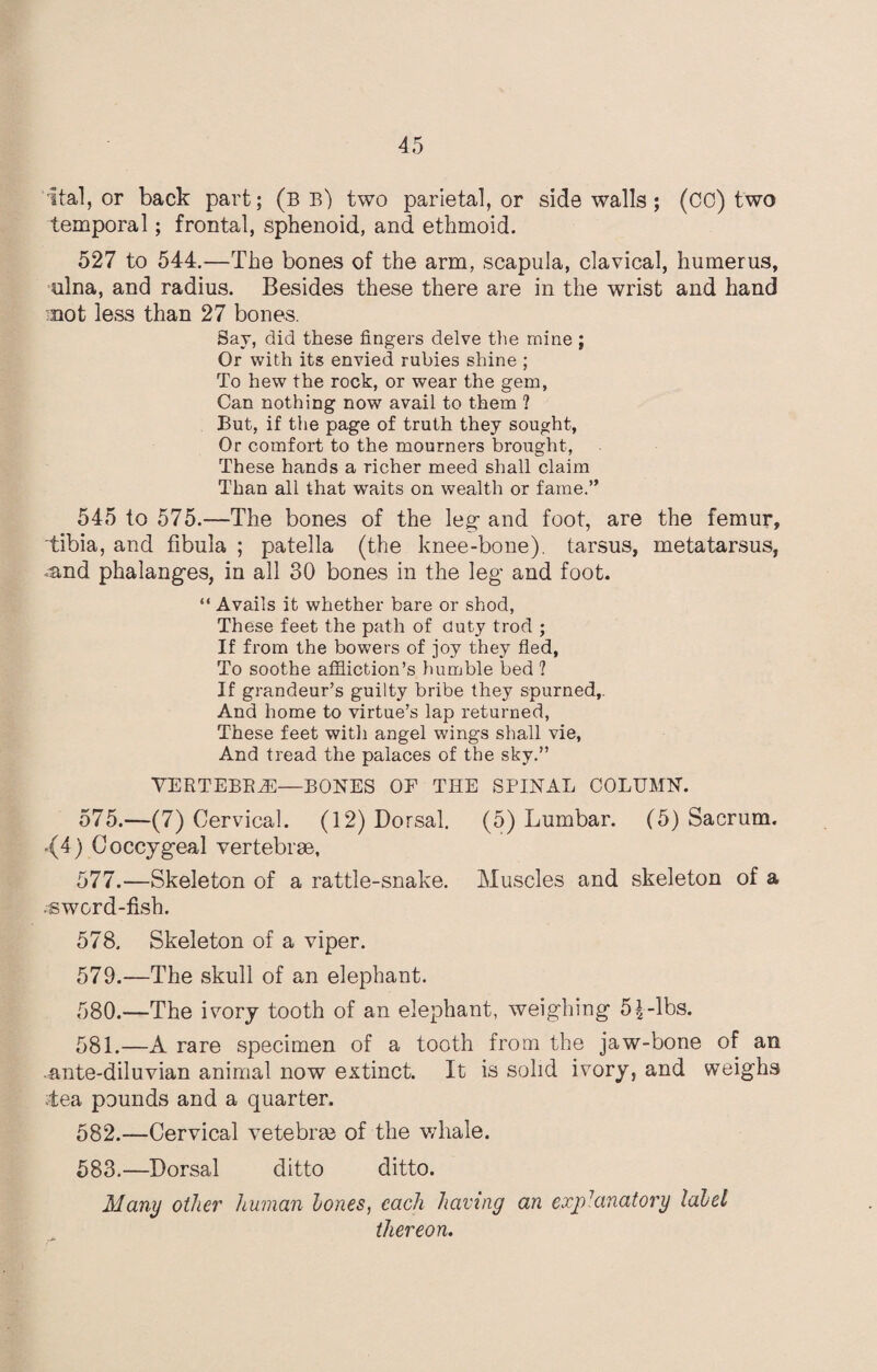 ital, or back part; (be) two parietal, or sidewalls; (CO) two temporal; frontal, sphenoid, and ethmoid. 527 to 544.—The bones of the arm, scapula, clavical, humerus, ulna, and radius. Besides these there are in the wrist and hand mot less than 27 bones. Say, did these fingers delve the mine ; Or with its envied rubies shine ; To hew the rock, or wear the gem, Can nothing now avail to them ? But, if the page of truth they sought, Or comfort to the mourners brought, These hands a richer meed shall claim Than all that waits on wealth or fame.” 545 to 575.—The bones of the leg- and foot, are the femur, tibia, and fibula ; patella (the knee-bone), tarsus, metatarsus, *&nd phalanges, in all 30 bones in the leg and foot. “ Avails it whether bare or shod, These feet the path of duty trod ; If from the bowers of joy they fled, To soothe affliction’s humble bed ? If grandeur’s guilty bribe they spurned,. And home to virtue’s lap returned, These feet with angel wings shall vie, And tread the palaces of the sky.” VERTEBR2E—BONES OF THE SPINAL COLUMN. 575.—(7) Cervical. (12) Dorsal. (5) Lumbar. (5) Sacrum. -(4) Coccygeal vertebrae, 577. —Skeleton of a rattle-snake. Muscles and skeleton of a sword-fish. 578. Skeleton of a viper. 579. —The skull of an elephant. 580. —The ivory tooth of an elephant, weighing 5^-lbs. 581. —A rare specimen of a tooth from the jaw-bone of an ante-diluvian animal now extinct. It is solid ivory, and weighs tea pounds and a quarter. 582. —Cervical vetebree of the whale. 583. —Dorsal ditto ditto. Many other human hones, each having an explanatory label thereon.