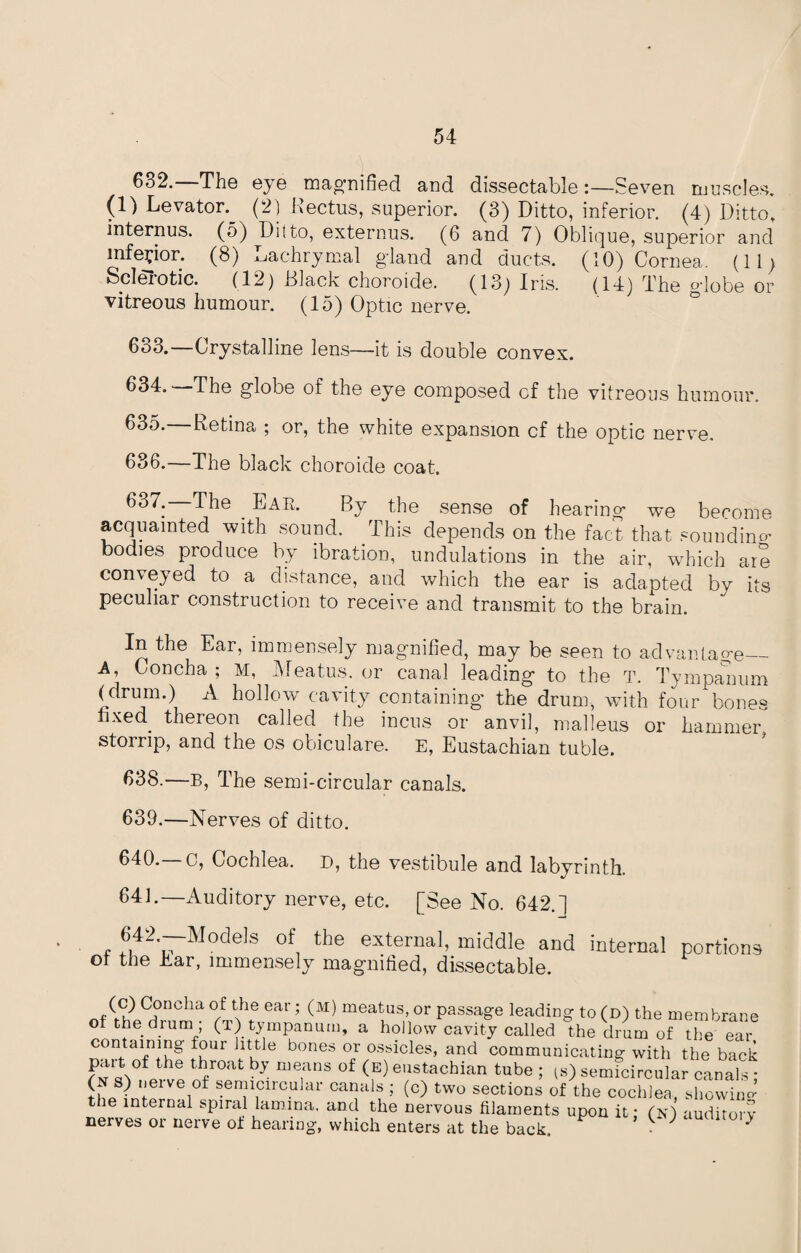 662. The eye magnified and dissectable:—Seven muscles. (1) Levator. (2) Rectus, superior. (3) Ditto, inferior. (4) Ditto, internus. (5) Ditto, externus. (6 and 7) Oblique, superior and inferior. (8) Lachrymal gland and ducts. (10) Cornea. (11) Sclerotic. (12) Black choroide. (13) Iris. (14) The globe or vitreous humour. (15) Optic nerve. 633. Crystalline lens—it is double convex. 634. The globe of the eye composed cf the vitreous humour. 635. —Retina ; or, the white expansion cf the optic nerve. 636. —The black choroide coat. 667: ^ie . By the sense of hearing we become acquainted with sound. This depends on the fact that sounding bodies produce by ibration, undulations in the air, which are conveyed to a distance, and which the ear is adapted by its peculiar construction to receive and transmit to the brain. In the Ear, immensely magnified, may be seen to advantage_ A’ Concha ; M, Meatus, or canal leading to the T. Tympanum (drum.) A hollow cavity containing the drum, with four bones fixed^ thereon called, the incus or anvil, malleus or hammer stomp, and the os obiculare. E, Eustachian tuble. 638. —B, The semi-circular canals. 639. —Nerves of ditto. 640. c, Cochlea, D, the vestibule and labyrinth. 641. — Auditory nerve, etc. [See No. 642.] , 642-—M^dels of the external, middle and internal portions of the Ear, immensely magnified, dissectable. Concha of [he ear; (M) meatus, or passage leading to (d) the membrane of the dium (t) tympanum, a hollow cavity called the drum of the ear containing four little bones or ossicles, and communicating with the back pait of the throat by means of (e) eustachian tube ; (s) semicircular canals ; r nriVei0f Sen?rcular ca]His 5 (c) tvvo sections of the cochlea, showing t le internal spiral lamina, and the nervous filaments upon it : (n) auditory nerves or nerve of hearing, which enters at the back. ^ }