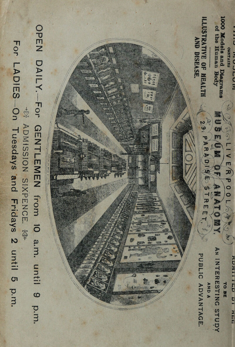 OPEN DAILY.—For GENTLEMEN from 10 a.m. until ADMISSION SIXPENCE. *3+- For LADIES—On Tuesdays and Fridays 2 until 5