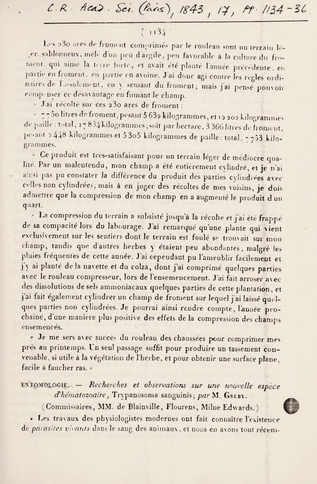 digitised image 3
