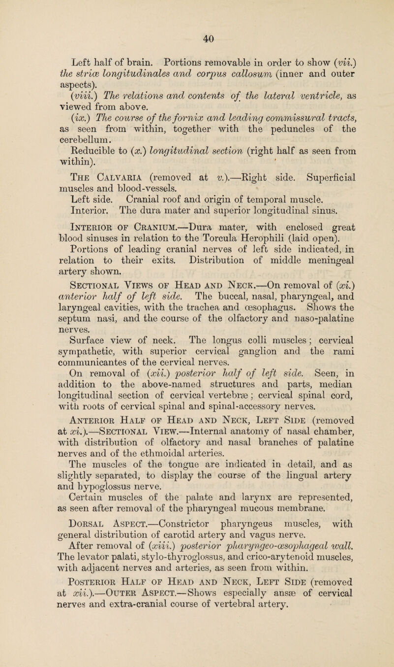Left half of brain. Portions removable in order to show (vii.) the strice longitudinales and corpus callosum (inner and outer aspects). (viii.) The relations and contents of the lateral ventricle, as viewed from above. (ix.) The course of the fornix and leading commissural tracts, as seen from within, together with the peduncles of the cerebellum. Reducible to (x.) longitudinal section (right half as seen from within). The Calvaria (removed at v.).—'Right side. Superficial muscles and blood-vessels. Left side. Cranial roof and origin of temporal muscle. Interior. The dura mater and superior longitudinal sinus. Interior of Cranium.—Dura mater, with enclosed great blood sinuses in relation to the Torcula Herophili (laid open). Portions of leading cranial nerves of left side indicated, in relation to their exits. Distribution of middle meningeal artery shown. Sectional Views of Head and Neck.—On removal of (xi.) anterior half of left side. The buccal, nasal, pharyngeal, and laryngeal cavities, with the trachea and oesophagus. Shows the septum nasi, and the course of the olfactory and naso-palatine nerves. Surface view of neck. The longus colli muscles ; cervical sympathetic, with superior cervical ganglion and the rami communicantes of the cervical nerves. On removal of (xii.) posterior half of left side. Seen, in addition to the above-named structures and parts, median longitudinal section of cervical vertebrae; cervical spinal cord, with roots of cervical spinal and spinal-accessory nerves. Anterior Half of Head and Neck, Left Side (removed at xi.).—Sectional View.—Internal anatomy of nasal chamber, with distribution of olfactory and nasal branches of palatine nerves and of the ethmoidal arteries. The muscles of the tongue are indicated in detail, and as slightly separated, to display the course of the lingual artery and hypoglossus nerve. Certain muscles of the palate and larynx are represented, as seen after removal of the pharyngeal mucous membrane. Dorsal Aspect.—Constrictor pharyngeus muscles, with general distribution of carotid artery and vagus nerve. After removal of (xiii.) posterior pharyngeo-cesophageal wall. The levator palati, stylo-thyroglossus, and crico-arytenoid muscles, with adjacent nerves and arteries, as seen from within. Posterior Half of Head and Neck, Left Side (removed at xii.).—Outer Aspect.— Shows especially ansse of cervical nerves and extra-cranial course of vertebral artery.