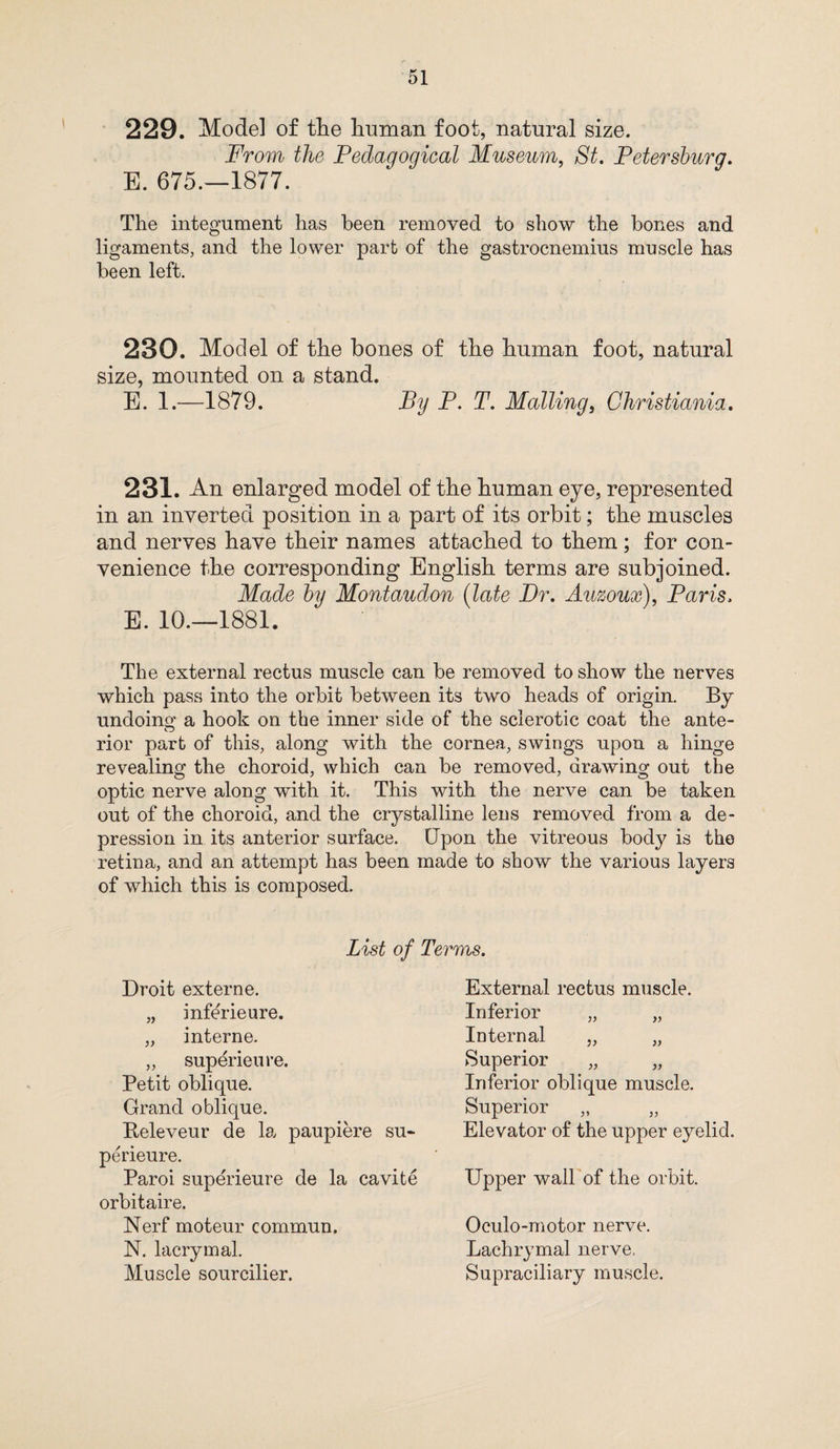 229. Model of the human foot, natural size. From the Pedaqoqical Museum, St. Petersburq. E. 675.-1877. The integument has been removed to show the bones and ligaments, and the lower part of the gastrocnemius muscle has been left. 230. Model of the bones of the human foot, natural size, mounted on a stand. E. 1.—1879. By P. T. Mailing, Christiania. 231. An enlarged model of the human eye, represented in an inverted position in a part of its orbit; the muscles and nerves have their names attached to them; for con¬ venience the corresponding English terms are subjoined. Made by Montaudon {late Dr. Auzoux), Paris. E. 10.—1881. The external rectus muscle can be removed to show the nerves which pass into the orbit between its two heads of origin. By undoing a hook on the inner side of the sclerotic coat the ante- rior part of this, along with the cornea, swings upon a hinge revealing the choroid, which can be removed, drawing out the optic nerve along with it. This with the nerve can be taken out of the choroid, and the crystalline lens removed from a de¬ pression in its anterior surface. Upon the vitreous body is the retina, and an attempt has been made to show the various layers of which this is composed. List of Terms. Droit externe. „ infe'rieure. „ interne. „ superieure. Petit oblique. Grand oblique. Beleveur de la paupiere su¬ perieure. Paroi superieure de la cavite orbitaire. Nerf moteur commun. N. lacrymal. Muscle sourcilier. External rectus muscle. Inferior „ „ Internal „ „ Superior „ „ Inferior oblique muscle. Superior „ „ Elevator of the upper eyelid. Upper wall of the orbit. Oculo-motor nerve. Lachrymal nerve, Supraciliary muscle.