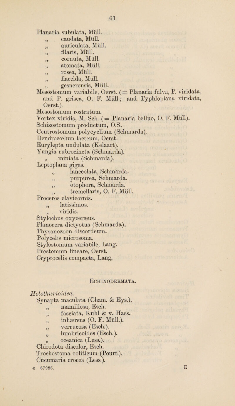 Planaria subulata, Miill. „ caudata, Mull. „ auriculata, Miill. „ fi laris, Miill. ,, cornuta, Miill. „ atomata, Miill. „ rosea, Miill. „ flaccida, Miill. „ gesnerensis, Miill. Mesostomum variabile, Oerst. (= Planaria fulva, P. viridata, and P. grisea, O. F. Miill; and Typhloplana viridata, Oerst.). Mesostomum rostra turn. Yorfcex viridis, M. Sch. (= Planaria belluo, O. F. Miill). Schizostomum productum, O.S. Centrostomum polycyclium (Schmarda). Dendrocoelum lacteum, Oerst. Eurylepta undulata (Kelaart). Yungia rubrocincta (Schmarda). „ miniata (Schmarda). Leptoplana gigas. „ lanceolata, Schmarda. „ purpurea, Schmarda. „ otophora, Schmarda. ,, tremellaris, 0. F. Miill. Proceros clavicornis. „ latissimus. „ viridis. Stylochus oxycerseus. Planocera dictyotus (Schmarda). Thysanozoon discordeum. Polycelis microsoma. Stylostomum variabile, Lang. Prostomum lineare, Oerst. Cryptocelis compacta, Lang. Echinodermata. Holothurioidea. Synapta maculata (Cham. & Eys.). mamillosa, Esch. fasciata, Kuhl & v. Hass, inhserens (0. F. Miill.). verrucosa (Esch.). lumbricoides (Esch.). oceanica (Less.). Chirodota discolor, Esch. Trochostoma ooliticum (Pourt.). Cucumaria crocea (Less.). o 67986. )) E ♦