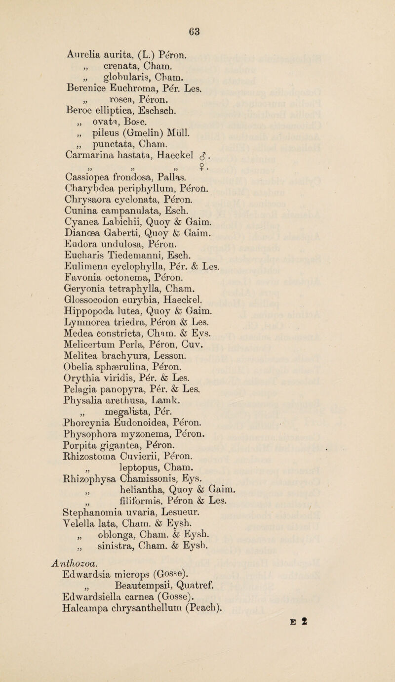 Aurelia aurita, (L.) Peron. „ crenata, Cham. „ globularis, Cham. Berenice Euchroma, Per. Les. „ rosea, Peron. Beroe elliptica, Eschscb. „ ovatg Bose. „ pileus (Gmelin) Miill. „ punctata, Cham. Carmarina hastata, Haeckel g. >> » >) $ • Cassiopea frondosa, Pallas. Charybdea periphyllum, Peron. Chrysaora cyclonata, Peron. Cunina campanulata, Esch. Cyanea Labichii, Quoy & Gaim. Dianoea Gaberti, Quoy & Gaim. Eudora undulosa, Peron. Eucharis Tiedemanni, Esch. Eulimena cyclophylla, Per. & Les. Favonia octonema, Peron. Geryonia tetraphylla, Cham. Glossocodon eurybia, Haeckel. Hippopoda lutea, Quoy & Gaim. Lymnorea triedra, Peron & Les. Medea constricta, Cham. & Evs. Melicertum Perl a, Peron, Cuv. Melitea brachyura, Lesson. Obelia sphaerulina, P^ron. Orythia viridis, Pdr. & Les. Pelagia panopyra, Per. & Les. Physalia arethusa, Lamk. „ megalist a, Per. Phorcynia Eudonoidea, Peron. Physophora myzonema, Peron. Porpita gigantea, Pdron. Bhizostoma Cuvierii, Peron. „ leptopus, Cham. Rhizophysa Chamissonis, Eys. „ heliantha, Quoy & Gaim. „ filiformis, Peron & Les. Stephanomia uvaria, Lesueur. Velella lata, Cham. & Eysh. „ oblonga, Cham. & Eysh. ,, sinistra, Cham. & Eysh. Anthozoa. Edwardsia microps (Gosse). „ Beautempsii, Quatref. Edwardsieila carnea (Gosse). Halcampa chrysanthellum (Peach). E t