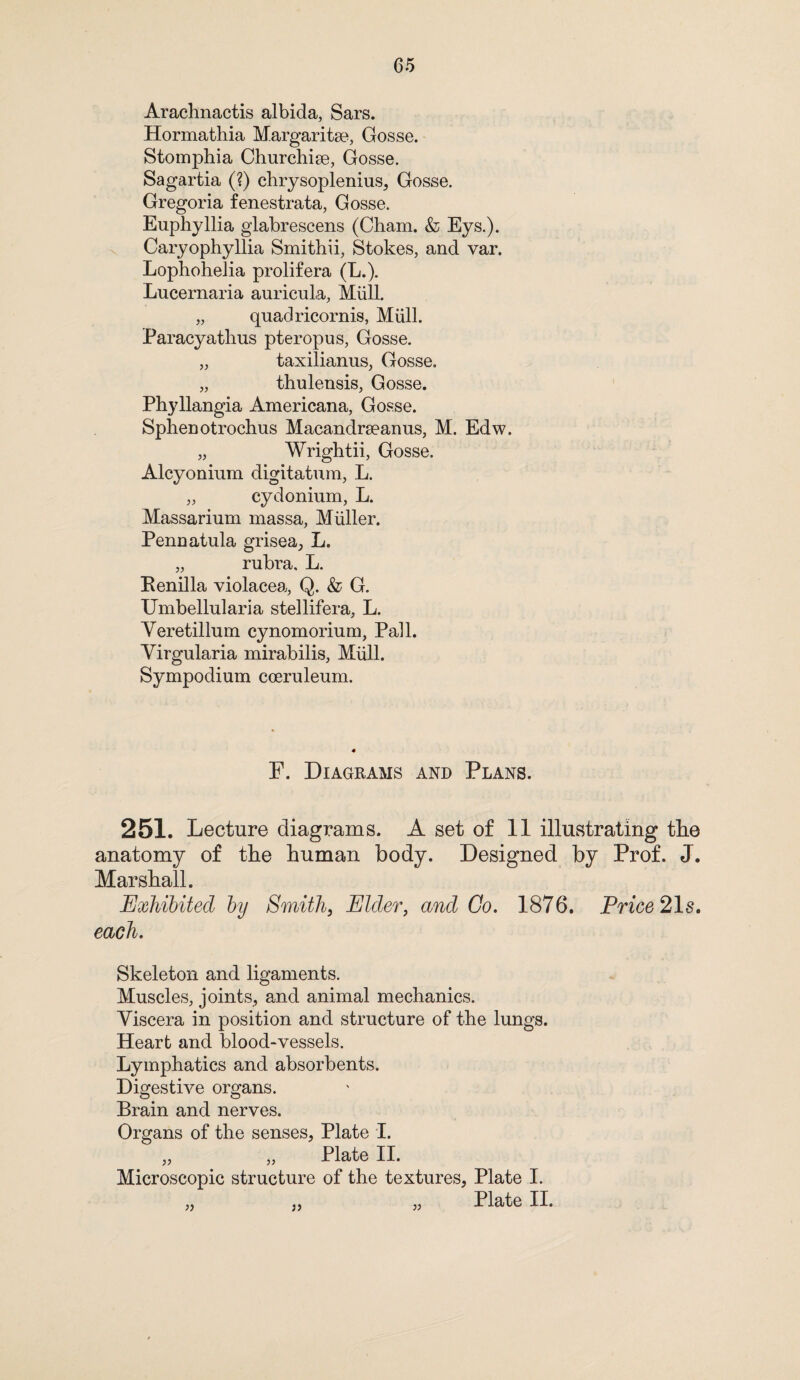 Arachnactis albida, Sars. Hormathia Margaritse, Gosse. Stomphia Churchise, Gosse. Sagartia (?) chrysoplenius, Gosse. Gregoria fenestrata, Gosse. Euphyllia glabrescens (Cham. & Eys.). Caryophyllia Smithii, Stokes, and var. Lophohelia prolifera (L.). Lucernaria auricula, Mull. „ quadricornis, Mull. Paracyathus pteropus, Gosse. „ taxilianus, Gosse. „ thulensis, Gosse. Phyllangia Americana, Gosse. Sphenotrochus Macandrseanus, M. Edw. „ Wrightii, Gosse. Alcyonium digitatum, L. „ cydonium, L. Massarium massa, Muller. Pennatula grisea, L. „ rubra. L. Renilla violacea, Q. & G. Umbellularia stellifera, L. Yeretillum cynomorium, Pall. Yirgularia mirabilis, Mull. Sympodium coeruleum. F. Diagrams and Plans. 251. Lecture diagrams. A set of 11 illustrating the anatomy of the human body. Designed by Prof. J. Marshall. Exhibited by Smith, Elder, and Go. 1876. Price 21s. each. Skeleton and ligaments. Muscles, joints, and animal mechanics. Yiscera in position and structure of the lungs. Heart and blood-vessels. Lymphatics and absorbents. Digestive organs. Brain and nerves. Organs of the senses, Plate 1. „ „ Plate II. Microscopic structure of the textures, Plate I. „ „ „ Plate II. 3 J