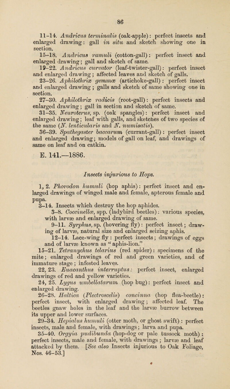 11-14. Andricus terminalis (oak-apple): perfect insects and enlarged drawing: gall in situ and sketch showing one in section. 15-18. Andricus ramuli (cotton-gall): perfect insect and enlarged drawing; gall and sketch of same. 19-22. Andricus curvator (leaf-twister-gall): perfect insect and enlarged drawing ; affected leaves and sketch of galls. 23-26. Aphilothrix gemmce (artichoke-gall) : perfect insect and enlarged drawing ; galls and sketch of same showing one in section. 27-30. Aphilothrix radicis (root-gall): perfect insects and enlarged drawing ; gall in section and sketch of same. 31-35. Neuroterus, sp. (oak spangles) : perfect insect and enlarged drawing; leaf with galls, and sketches of two species of the same (iY lenticularis and iY. numisatis). 36-39. Spathegaster haccarum (currant-gall) : perfect insect and enlarged drawing; models of gall on leaf, and drawings of same on leaf and on catkin. E. 141.—1886. Insects injurious to Hops. 1, 2. Phorodon humuli (hop aphis) : perfect insect and en¬ larged drawings of winged male and female, apterous female and pupa. 3-14. Insects which destroy the hop aphides. 3-8. Coccinellce, spp. (ladybird beetles) : various species, with larvse and enlarged drawing of same. 9-11. Syrphus, sp. (hovering fly): perfect insect; draw¬ ing of larvse, natural size and enlarged seizing aphis. 12-14. Lace-wing fly : perfect insects; drawings of eggs and of larvse known as aphis-lion.” 15-21. Tetranychus telarius (red spider): specimens of the mite; enlarged drawings of red and green varieties, and of immature stage ; infested leaves. 22, 23. Euacanthus interruptus: perfect insect, enlarged drawings of red and yellow varieties. 24, 25. Lygus umbeltatarum (hop bug): perfect insect and enlarged drawing. 26-28. Haltica (Plectroscelis) concinna (hop flea-beetle): perfect insect, with enlarged drawing; affected leaf. The beetles gnaw holes in the leaf and the larvse burrow between its upper and lower surfaces. 29-34. Hepialus humuli (otter moth, or ghost swift) : perfect insects, male and female, with drawings; larva and pupa. 35-40. Orgyia pudibunda (hop-dog or pale tussock moth) : perfect insects, male and female, with drawings ; larvse and leaf attacked by them. [,See also Insects injurious to Oak Foliage, Nos. 46-53.] «