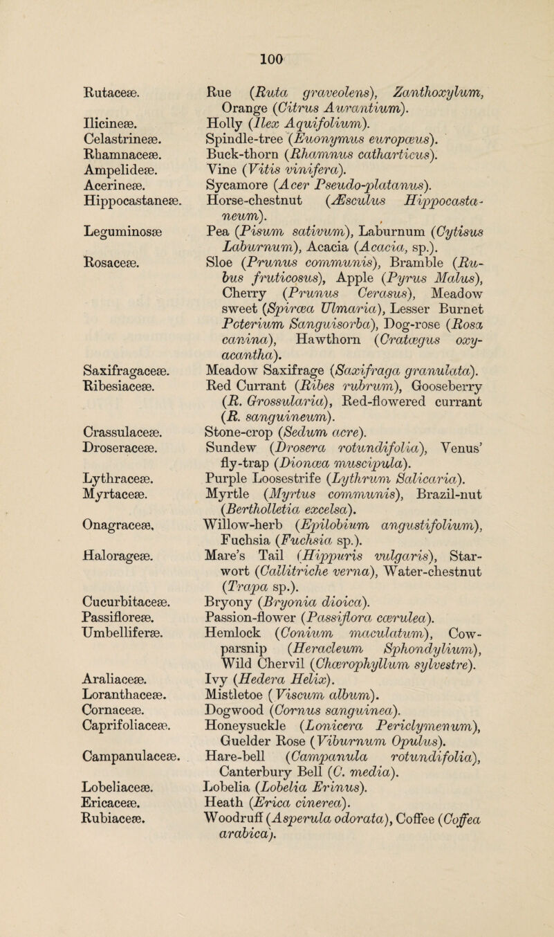 Rutacese. Ilicinese. Celastrineae. Rhamnacese. Ampelidese. Acerinese. Hippocastanese. Leguminosse Rosacese. Saxifragacese. Ribesiacese. Crassulacese. Droseracese. Lythracese. Myrtacese. Onagraceae, Haloragese. Cucurbitacese. Passiflorese. Umbelliferse. Araliacese. Loranthaceae. Cornacese. Caprifoliaceae. Campanulaceae. Lobeliacese. Ericaceae. Rubiacese. Rue (Ruta graveolens), Zanthoxylum, Orange (Citrus Aurantium). Holly (Ilex Aquifolium). Spindle-tree (Euonymus europceus). Buck-thorn (Rhamnus catharticus). Vine (Vitis vinifera). Sycamore {Acer Pseudo-platanus). Horse-chestnut (AEsculus Hippocasta- neum). Pea (.Pisum sativum), Laburnum (Gytisus Laburnum), Acacia (Acacia, sp.). Sloe (Prunus communis), Bramble (Eu- bus fruticosus), Apple (Pyrus Malus), Cherry (Prunus Cerasus), Meadow sweet (Spircea Ulmaria), Lesser Burnet Poterium Sanguisorba), Dog-rose (Eosa canina), Hawthorn (Cratcegus oxy- acantha). Meadow Saxifrage (Saxifraga granulata). Red Currant (Eibes rubrum), Gooseberry (E. Grossuiaria), Red-flowered currant (R. sanguineum). Stone-crop (Sedum acre). Sundew (JDrosera rotundifolia), Venus’ fly-trap (Dioncea muscipula). Purple Loosestrife (Lythrum Salicaria). Myrtle (Myrtus communis), Brazil-nut (Bertholletia excelsa). Willow-herb (Epilobium angustifolium), Fuchsia (Fuchsia sp.). Mare’s Tail (Hippuris vulgaris), Star- wort (Callitriche verna), Water-chestnut (Trapa sp.). Bryony (Bryonia dioica). Passion-flower (Passiflora ccerulea). Hemlock (Gonium maculatum), Cow- parsnip (Heracleum Sphondylium), Wild Chervil (Ghcerophyllum sylvestre). Ivy (Hedera Helix). Mistletoe (Viscum album). Dogwood (Cornus sanguinea). Honeysuckle (Lonicera Periclymenum), Guelder Rose (Viburnum Opulus). Hare-bell (Campanula rotundifolia), Canterbury Bell (G. media). Lobelia (Lobelia Erinus). Heath (Erica cinerea). Woodruff (Asperula odorata), Coffee (Goffea arabica).