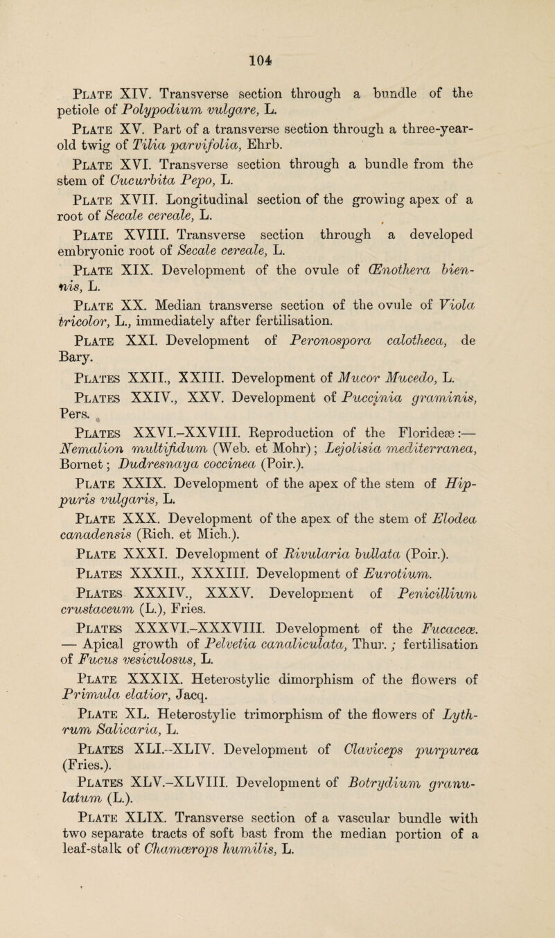 Plate XIV. Transverse section through a bundle of the petiole of Polypodium vulgare, L. Plate XV. Part of a transverse section through a three-year- old twig of Tilia parvifolia, Ehrb. Plate XVI. Transverse section through a bundle from the stem of Cucurbita Pepo, L. Plate XVII. Longitudinal section of the growing apex of a root of Secale cereale, L. Plate XVIII. Transverse section through a developed embryonic root of Secale cereale, L. Plate XIX. Development of the ovule of (Enothera bien¬ nis, L. Plate XX. Median transverse section of the ovule of Viola tricolor, L., immediately after fertilisation. Plate XXI. Development of Peronospora calotheca, de Bary. Plates XXII., XXIII. Development of Mucor Mucedo, L. Plates XXIV., XXV. Development of Puccinia graminis, Pers. Plates XXVI.-XXVIII. Reproduction of the Floridese:— Nemalion multifidum (Web. et Mohr); Lejolisia mediterranea, Bornet; Pudresnaya coccinea (Poir.). Plate XXIX. Development of the apex of the stem of Hip- puris vulgaris, L. Plate XXX. Development of the apex of the stem of Elodea canadensis (Rich, et Mich.). Plate XXXI. Development of Rivularia bullata (Poir.). Plates XXXII., XXXIII. Development of Eurotium. Plates XXXIV., XXXV. Development of Penicillium crustaceum (L.), Fries. Plates XXXVI.-XXXVIII. Development of the Fucaceae. — Apical growth of Pelvetia canaliculata, Thur.; fertilisation of Fucus vesiculosus, L. Plate XXXIX. Heterostylic dimorphism of the flowers of Primula elatior, Jacq. Plate XL. Heterostylic trimorphism of the flowers of Lyth¬ rum Salicaria, L. Plates XLI.-XLIV. Development of Glaviceps purpurea (Fries.). Plates XLV.-XLVIII. Development of Botrydium granu- latum (L.). Plate XLIX. Transverse section of a vascular bundle with two separate tracts of soft bast from the median portion of a leaf-stalk of Chamcerops humilis, L.