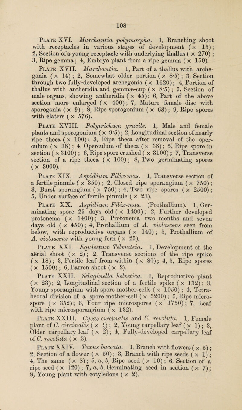 Plate XVI. Marchantia polymorpha. 1, Branching shoot with receptacles in various stages of development (x 15); 2, Section of a young receptacle with underlying thallus ( x 270) ; 3, Ripe gemma; 4, Embryo plant from a ripe gemma ( x 150). Plate XVII. Marchantia. 1, Part of a thallus with arche- gonia ( x 14) ; 2, Somewhat older portion ( x 8*5); 3, Section through two fully-developed archegonia ( x 1620) ; 4, Portion of thallus with antheridia and gemmse-cup ( x 8°5) ; 5, Section of male organs, showing antheridia ( x 45); 6, Payt of the above section more enlarged (x 400); 7, Mature female disc with sporogonia ( x 9) ; 8, Ripe sporogonium ( x 63) ; 9, Ripe spores with elaters (x 576). Plate XVIII. Poly trichum gracile. 1, Male and female plants and sporogonium ( x 9*5) ; 2, Longitudinal section of nearly ripe theca (x 100); 3, Ripe theca after removal of the oper¬ culum ( x 38) ; 4, Operculum of theca ( x 38) ; 5, Ripe spore in section ( x 3100); 6, Ripe spore crushed ( x 3100); 7, Transverse section of a ripe theca (x 100); 8, Two germinating spores ( x 3000). Plate XIX. Aspidium Filix-mas. 1, Transverse section of a fertile pinnule ( x 350) ; 2, Closed ripe sporangium ( x 750) ; 3, Burst sporangium (x 750) ; 4, Two ripe spores (x 2500) ; 5, Under surface of fertile pinnule ( x 23). Plate XX. Aspidium Filix-mas. (ProthalJium). 1, Ger¬ minating spore 25 days old ( x 1400); 2, Further developed protonema (x 1400); 3, Protonema two months and seven days old ( x 450); 4, Prothallium of A. violascens seen from below, with reproductive organs (x 140); 5, Prothallium of A. violascens with young fern ( x 25). Plate XXI. Equisetum Telmateia. 1, Development of the aerial shoot (x 2) ; 2, Transverse sections of the ripe spike (x 18); 3, Fertile leaf from within (x 80); 4, 5, Ripe spores ( x 1500); 6, Barren shoot ( x 2). Plate XXII. Selaginella helvetica. 1, Reproductive plant (x 23); 2, Longitudinal section of a fertile spike (x 132); 3, Young sporangium with spore mother-cells ( x 1050) ; 4, Tetra¬ hedral division of a spore mother-cell ( x 5200) ; 5, Ripe micro¬ spore (x 352); 6, Four ripe microspores (x 1750); 7, Leaf with ripe microsporangium (x 132). Plate XXIII. Cycas circinalis and G. revoluta. 1, Female plant of G. circinalis ( x J) ; 2, Young carpellary leaf ( x 1) ; 3, Older carpellary leaf ( x 2); 4, Fully-developed carpellary leaf of G. revoluta ( x 3). Plate XXIV. Taxus baccata. 1, Branch with flowers (x 5); 2, Section of a flower ( x 50) ; 3, Branch with ripe seeds ( x 1) ; 4, The same (x 8); 5, a, b, Ripe seed (x 10) ; 6, Section of a ripe seed ( x 120); 7, a, b, Germinating seed in section (x 7); 8, Young plant with cotyledons ( x 2).