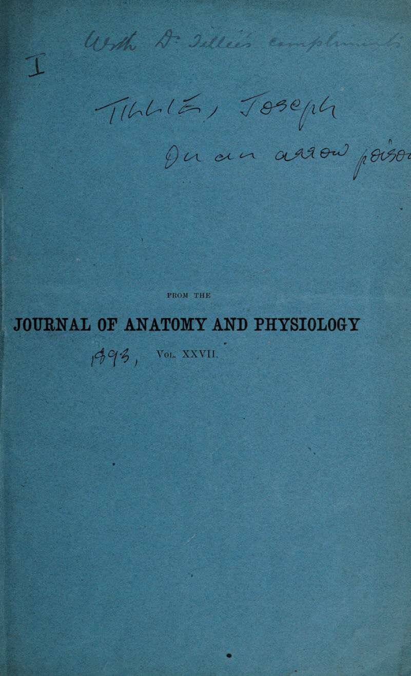 ey<~ ^ PROM THE JOURNAL OF ANATOMY AND PHYSIOLOGY ) Vol. XXVII.