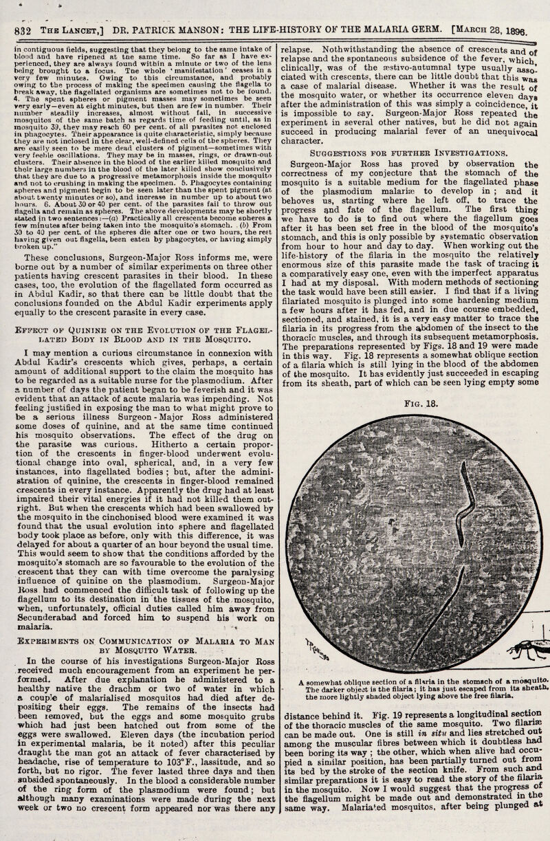 in contiguous fields, suggesting that they belong to the same intake of blood and have ripened at tne same time. So far as I have ex¬ perienced, they are always found within a minute or two of the lens being brought to a focus. Tne whole * manifestation ’ ceases in a very few minutes. Owing to this circumstance, and probably owing to the process of making the specimen causing the flagella to break away, the flagellated organisms are sometimes not to be found. 4. The spent spheres or pigment masses may sometimes be seen very early —even at eight minutes, but then are few in number. Their number steadily increases, almost without fail, in successive mosquitos of the same batch as regards time of feeding until, as in mosquito 39, they may reach 60 per cent, of all parasites not enclosed in phagocytes. Their appearance is quite characteristic, simply because they are not inclosed in the clear, well-defined cells of the spheres. They are easily seen to be mere dead clusters of pigment—sometimes with very feeble oscillations. They may be in masses, rings, or drawn-out clusters. Their absence in the blood of the earlier killed mosquito and their large numbers in the blood of the later killed show conclusively that they are due to a progressive metamorphosis inside the mosquito and not to crushing in making the specimen. 5. Phagocytes containing spheres and pigment begin to be seen later than the spent pigment (at about twenty minutes or so), and increase in number up to about two hours. 6. About 30 or 40 per cent, of the parasites fail to throw out flagella and remain as spheres. The above developments may be shortly stated in two sentences:—(a) Practically all crescents become spheres a few minutes after being taken into the mosquito’s stomach. (b) From 30 to 40 per cent, of the spheres die after one or two hours, the rest having given out flagella, been eaten by phagocytes, or having simply broken up.” These conclusions, Surgeon-Major Ross informs me, were borne out by a number of similar experiments on three other patients having crescent parasites in their blood. In these cases, too, the evolution of the flagellated form occurred as in Abdul Kadir, so that there can be little doubt that the conclusions founded on the Abdul Kadir experiments apply equally to the crescent parasite in every case. Effect of Quinine on the Evolution of the Flagel¬ lated Body in Blood and in the Mosquito. I may mention a curious circumstance in connexion with Abdul Kadir’s crescents which gives, perhaps, a certain ampunt of additional support to the claim the mosquito has to be regarded as a suitable nurse for the plasmodium. After a number of days the patient began to be feverish and it was evident that an attack of acute malaria was impending. Not feeling justified in exposing the man to what might prove to be a serious illness Surgeon - Major Ross administered some dose3 of quinine, and at the same time continued his mosquito observations. The effect of the drug on the parasite was curious. Hitherto a certain propor¬ tion of the crescents in finger-blood underwent evolu¬ tional change into oval, spherical, and, in a very few instances, into flagellated bodies ; but, after the admini¬ stration of quinine, the crescents in finger-blood remained crescents in every instance. Apparently the drug had at least impaired their vital energies if it had not killed them out¬ right. But when the crescents which had been swallowed by the mosquito in the cinchonised blood were examined it was found that the usual evolution into sphere and flagellated body took place as before, only with this difference, it was delayed for about a quarter of an hour beyond the usual time. This would seem to show that the conditions afforded by the mosquito’s stomach are so favourable to the evolution of the crescent that they can with time overcome the paralysing influence of quinine on the plasmodium. Surgeon-Major Ross had commenced the difficult task of following up the flagellum to its destination in the tissues of the mosquito, when, unfortunately, official duties called him away from Secunderabad and forced him to suspend his work on malaria. % -* Experiments on Communication of Malaria to Man by Mosquito Water. In the course of his investigations Surgeon-Major Ross received much encouragement from an experiment he per¬ formed, After due explanation he administered to a healthy native the drachm or two of water in which a couple of malarialised mosquitos had died after de¬ positing their eggs. The remains of the insects had been iemoved, but the eggs and some mosquito grubs which had just been hatched out from some of the eggs were swallowed. Eleven days (the incubation period in experimental malaria, be it noted) after this peculiar draught the man got an attack of fever characterised by headache, rise of temperature to 103°F., lassitude, and so forth, but no rigor. The fever lasted three days and then subsided spontaneously. In the blood a considerable number of the ring form of the plasmodium were found; but although many examinations were made during the next week or two no crescent form appeared nor was there aDy relapse. NothwithstandiDg the absence of crescents and of relapse and the spontaneous subsidence of the fever, which clinically, was of the mstivo-autumnal type usually asso¬ ciated with crescents, there can be little doubt that this was a case of malarial disease. Whether it was the result of the mosquito water, or whether its occurrence eleven days after the administration of this was simply a coincidence, it is impossible to say. Surgeon-Major Ross repeated the experiment in several other natives, but he did not again succeed in producing malarial fever of an unequivocal character. Suggestions for further Investigations. Surgeon-Major Ross has proved by observation the correctness of my conjecture that the stomach of the mosquito is a suitable medium for the flagellated phase of the plasmodium malarias to develop in ; and it behoves us, starting where he left off, to trace the progress and fate of the flagellum. The first thing we have to do is to find out where the flagellum goes after it has been set free in the blood of the mosquito’s stomach, and this is only possible by systematic observation from hour to hour and day to day. When working out the life-history of the filaria in the mosquito the relatively enormous size of this parasite made the task of tracing it a comparatively easy one, even with the imperfect apparatus I had at my disposal. With modern methods of sectioning the task would have been still easier. I find that if a living filariated mosquito is plunged into some hardening medium a few hours after it has fed, and in due course embedded, sectioned, and stained, it is a very easy matter to trace the filaria in its progress from the abdomen of the insect to the thoracic muscles, and through its subsequent metamorphosis. The preparations represented by Figs. 18 and 19 were made in this way. Fig. 18 represents a somewhat oblique section of a filaria which is still lying in the blood of the abdomen of the mosquito. It has evidently just succeeded in escaping from its sheath, part of which can be seen lying empty some Fig. 18. A somewhat oblique section of a fiUria in the stomach of a mosquito. The darker object is the filaria; it has just escaped from its sheatn# the more lightly shaded object lying above the free filaria. distance behind it. Fig. 19 represents a longitudinal section of the thoracic muscles of the same mosquito. Two filanae can be made out. One is still in situ and lies stretched out among the muscular fibres between which it doubtless had been boring its way ; the other, which when alive had occu¬ pied a similar position, has been partially turned out from its bed by the stroke of the section knife. From such and similar preparations it is easy to read the story of the filaria in the mosquito. Now I would suggest that the progress o the flagellum might be made out and demonstrated in_the same way. Malariated mosquitos, after being plunged at