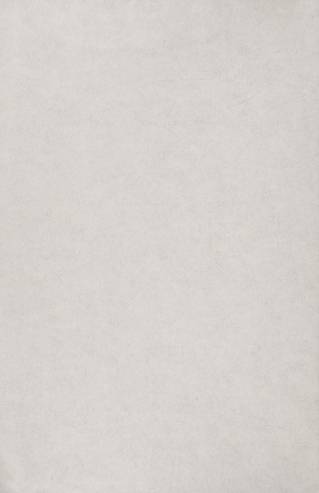 digitised image 2