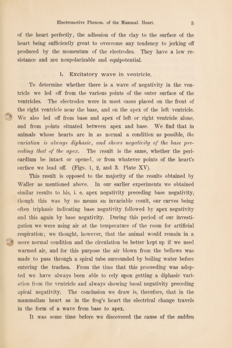 of the heart perfectly, the adhesion of the clay to the surface of the heart being sufficiently great to overcome any tendency to jerking off produced by the momentum of the electrodes. They have a low re¬ sistance and are nonpolarizable and equipotential. I« Excitatory wave in ventricle. To determine whether there is a wave of negativity in the ven¬ tricle we led off* from the various points of the outer surface of the ventricles. The electrodes were in most cases placed on the front of the right ventricle near the base, and on the apex of the left ventricle. We also led off from base and apex of left or right ventricle alone, and from points situated between apex and base. We find that in animals whose hearts are in as normal a condition as possible, the variation is always diphasic, and shews negativity of the base pre¬ ceding that of the apex. The result is the same, whether the peri¬ cardium be intact or opened, or from whatever points of the heart’s surface we lead off. (Figs. 1, 2, and 3. Plate XV). This result is opposed to the majority of the results obtained by Waller as mentioned above. In our earlier experiments we obtained similar results to his, i. e. apex negativity preceding base negativity, though this was by no means an invariable result, our curves being often triphasic indicating base negativity followed by apex negativity and this again by base negativity. During this period of our investi¬ gation we were using air at the temperature of the room for artificial respiration; we thought, however, that the animal would remain in a b more normal condition and the circulation be better kept up if we used warmed air, and for this purpose the air blown from the bellows was made to pass through a spiral tube surrounded by boiling water before entering the trachea. From the time that this proceeding was adop¬ ted we have always been able to rely upon getting a diphasic vari¬ ation from the ventricle and always showing basal negativity preceding apical negativity. The conclusion we draw is, therefore, that in the mammalian heart as in the frog’s heart the electrical change travels in the form of a wave from base to apex. It was some time before we discovered the cause of the sudden