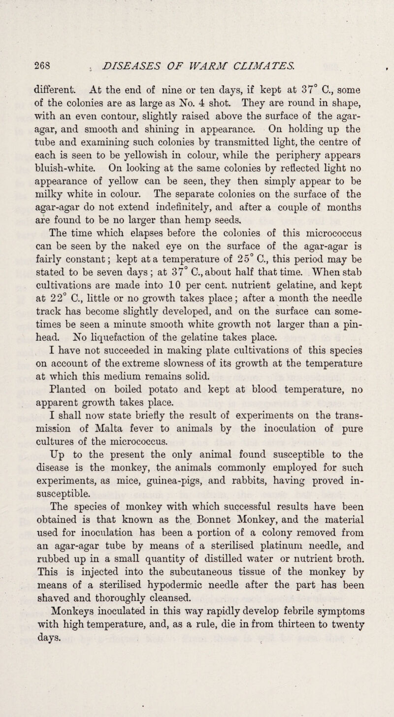 9 different. At the end of nine or ten days, if kept at 37° C., some of the colonies are as large as No. 4 shot. They are round in shape, with an even contour, slightly raised above the surface of the agar- agar, and smooth and shining in appearance. On holding up the tube and examining such colonies by transmitted light, the centre of each is seen to be yellowish in colour, while the periphery appears bluish-white. On looking at the same colonies by reflected light no appearance of yellow can be seen, they then simply appear to be milky white in colour. The separate colonies on the surface of the agar-agar do not extend indefinitely, and after a couple of months are found to be no larger than hemp seeds. The time which elapses before the colonies of this micrococcus can be seen by the naked eye on the surface of the agar-agar is fairly constant; kept at a temperature of 25° C., this period may be stated to be seven days ; at 37° C., about half that time. When stab cultivations are made into 10 per cent, nutrient gelatine, and kept at 22° C., little or no growth takes place; after a month the needle track has become slightly developed, and on the surface can some¬ times be seen a minute smooth white growth not larger than a pin¬ head. No liquefaction of the gelatine takes place. I have not succeeded in making plate cultivations of this species on account of the extreme slowness of its growth at the temperature at which this medium remains solid. Planted on boiled potato and kept at blood temperature, no apparent growth takes place. I shall now state briefly the result of experiments on the trans¬ mission of Malta fever to animals by the inoculation of pure cultures of the micrococcus. Up to the present the only animal found susceptible to the disease is the monkey, the animals commonly employed for such experiments, as mice, guinea-pigs, and rabbits, having proved in¬ susceptible. The species of monkey with which successful results have been obtained is that known as the Bonnet Monkey, and the material used for inoculation has been a portion of a colony removed from an agar-agar tube by means of a sterilised platinum needle, and rubbed up in a small quantity of distilled water or nutrient broth. This is injected into the subcutaneous tissue of the monkey by means of a sterilised hypodermic needle after the part has been shaved and thoroughly cleansed. Monkeys inoculated in this way rapidly develop febrile symptoms with high temperature, and, as a rule, die in from thirteen to twenty days.