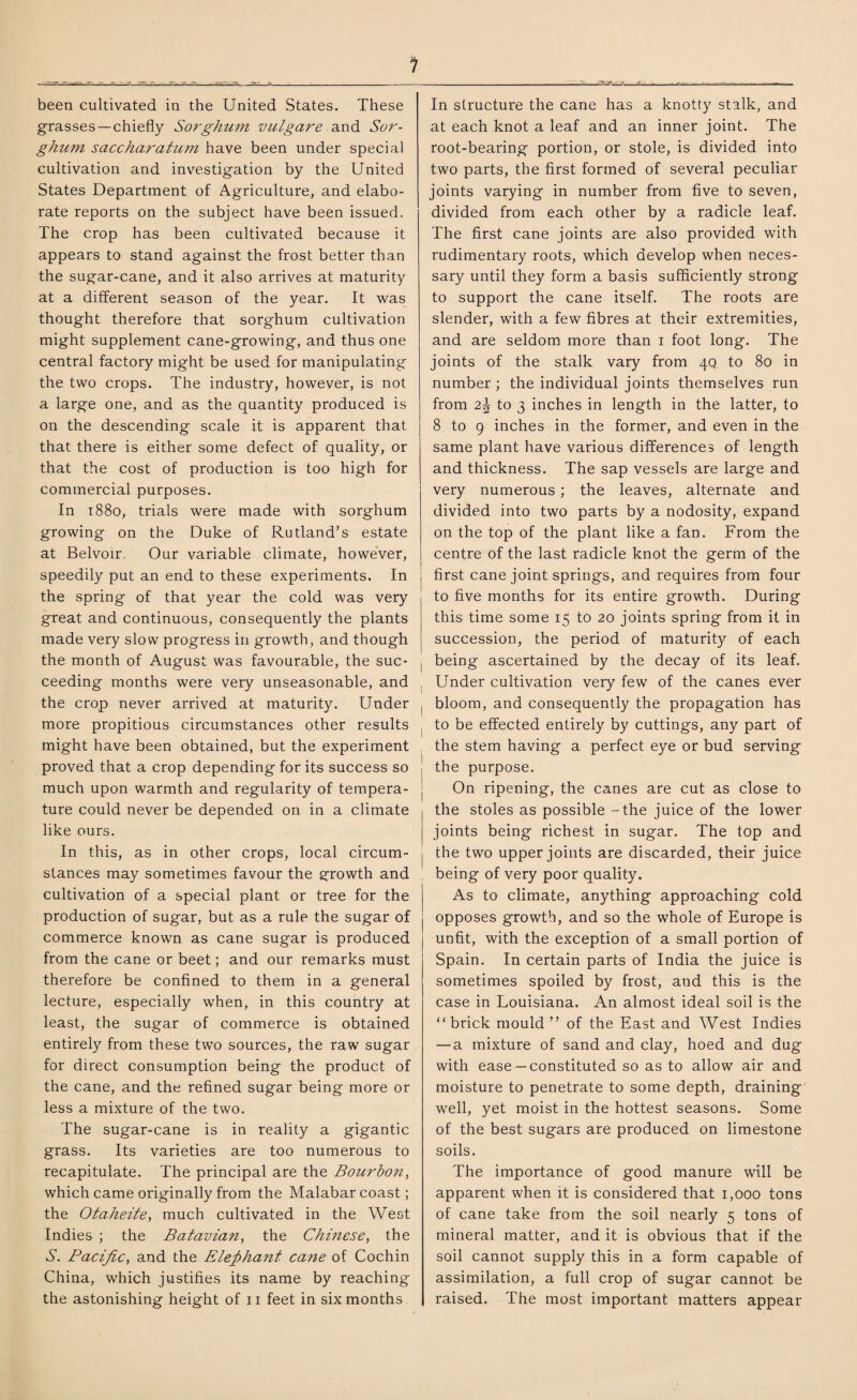 1 been cultivated in the United States. These grasses—chiefly Sorghum vulgare and Sor¬ ghum saccharatum have been under special cultivation and investigation by the United States Department of Agriculture, and elabo¬ rate reports on the subject have been issued. The crop has been cultivated because it appears to stand against the frost better than the sugar-cane, and it also arrives at maturity at a different season of the year. It was thought therefore that sorghum cultivation might supplement cane-growing, and thus one central factory might be used for manipulating the two crops. The industry, however, is not a large one, and as the quantity produced is on the descending scale it is apparent that that there is either some defect of quality, or that the cost of production is too high for commercial purposes. In 1880, trials were made with sorghum growing on the Duke of Rutland’s estate at Belvoir. Our variable climate, however, speedily put an end to these experiments. In the spring of that year the cold was very great and continuous, consequently the plants made very slow progress in growth, and though the month of August was favourable, the suc¬ ceeding months were very unseasonable, and the crop never arrived at maturity. Under more propitious circumstances other results might have been obtained, but the experiment proved that a crop depending for its success so much upon warmth and regularity of tempera¬ ture could never be depended on in a climate like ours. In this, as in other crops, local circum¬ stances may sometimes favour the growth and cultivation of a special plant or tree for the production of sugar, but as a rule the sugar of commerce known as cane sugar is produced from the cane or beet; and our remarks must therefore be confined to them in a general lecture, especially when, in this country at least, the sugar of commerce is obtained entirely from these two sources, the raw sugar for direct consumption being the product of the cane, and the refined sugar being more or less a mixture of the two. The sugar-cane is in reality a gigantic grass. Its varieties are too numerous to recapitulate. The principal are the Boitrbon, which came originally from the Malabar coast; the Otciheite, much cultivated in the West Indies ; the Batavian, the Chinese, the S. Pacific, and the Elephant cane of Cochin China, which justifies its name by reaching the astonishing height of 11 feet in six months In structure the cane has a knotty stalk, and at each knot a leaf and an inner joint. The root-bearing portion, or stole, is divided into two parts, the first formed of several peculiar joints varying in number from five to seven, divided from each other by a radicle leaf. The first cane joints are also provided with rudimentary roots, which develop when neces¬ sary until they form a basis sufficiently strong to support the cane itself. The roots are slender, with a few fibres at their extremities, and are seldom more than 1 foot long. The joints of the stalk vary from 4Q to 80 in number; the individual joints themselves run from 2\ to 3 inches in length in the latter, to 8 to 9 inches in the former, and even in the same plant have various differences of length and thickness. The sap vessels are large and very numerous; the leaves, alternate and divided into two parts by a nodosity, expand on the top of the plant like a fan. From the centre of the last radicle knot the germ of the , first cane joint springs, and requires from four to five months for its entire growth. During this time some 15 to 20 joints spring from it in succession, the period of maturity of each being ascertained by the decay of its leaf. Under cultivation very few of the canes ever bloom, and consequently the propagation has to be effected entirely by cuttings, any part of the stem having a perfect eye or bud serving the purpose. On ripening, the canes are cut as close to the stoles as possible - the juice of the lower joints being richest in sugar. The top and the two upper joints are discarded, their juice being of very poor quality. As to climate, anything approaching cold opposes growth, and so the whole of Europe is unfit, with the exception of a small portion of Spain. In certain parts of India the juice is sometimes spoiled by frost, and this is the case in Louisiana. An almost ideal soil is the “brick mould” of the East and West Indies — a mixture of sand and clay, hoed and dug with ease —constituted so as to allow air and moisture to penetrate to some depth, draining well, yet moist in the hottest seasons. Some of the best sugars are produced on limestone soils. The importance of good manure will be apparent when it is considered that 1,000 tons of cane take from the soil nearly 5 tons of mineral matter, and it is obvious that if the soil cannot supply this in a form capable of assimilation, a full crop of sugar cannot be raised. The most important matters appear