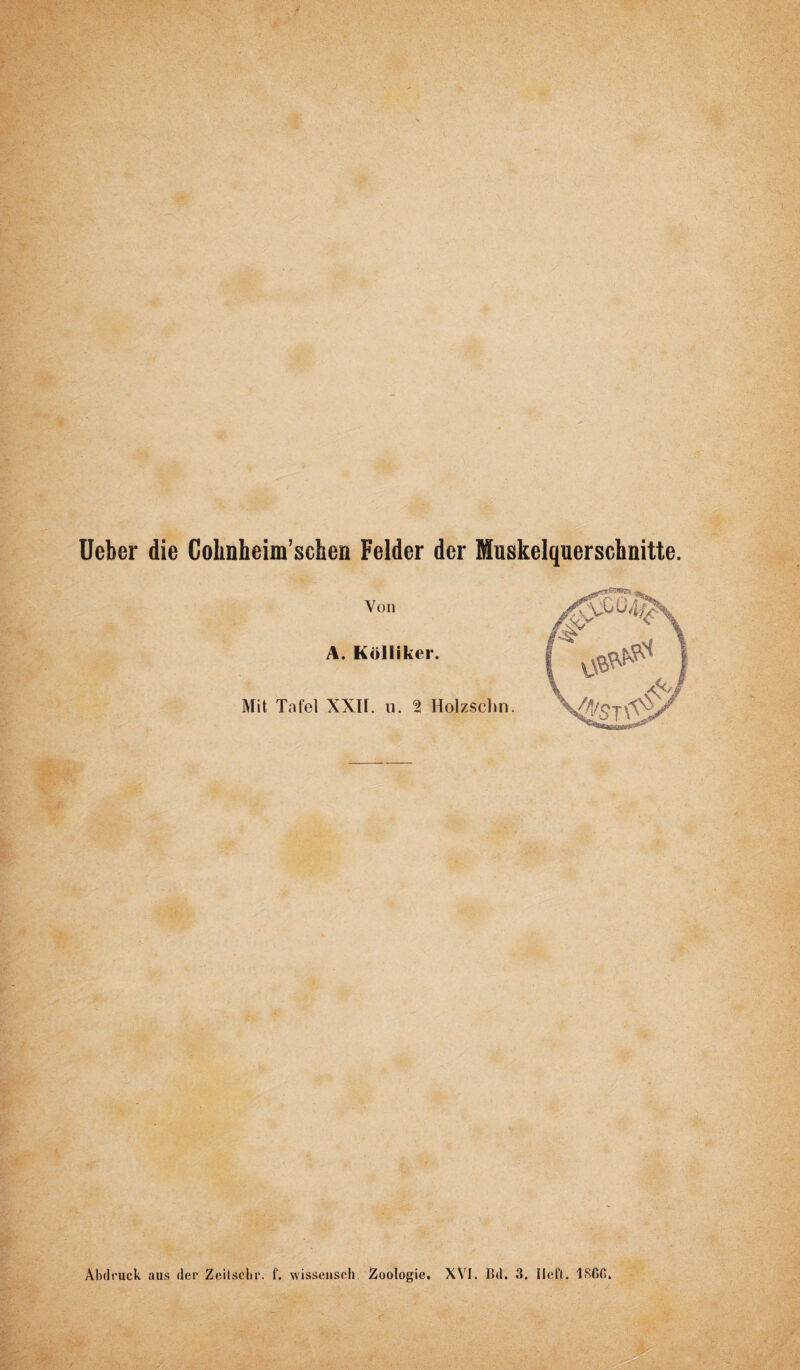 Ueber die Colinheim’schen Felder der Muskelquerschnitte. Von A. Kölliker. Mit Tafel XXII. n. 2 Holzschn.