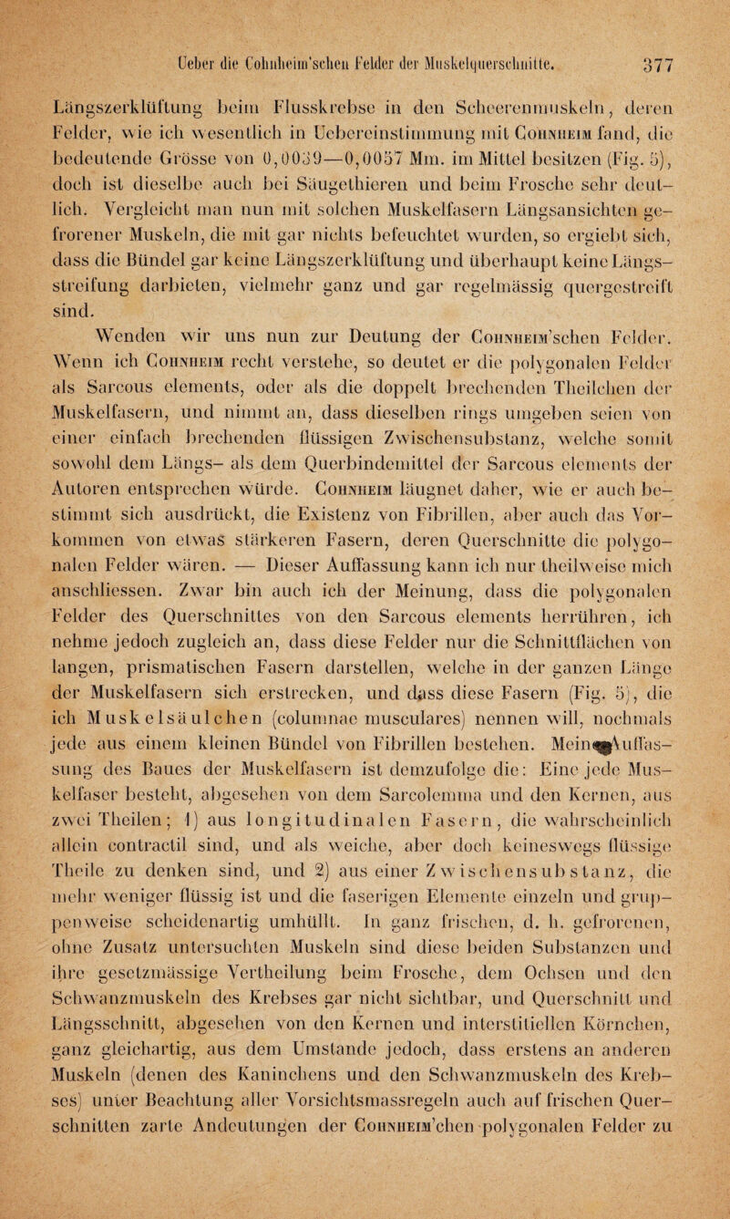 Längszerklüftung beim Flusskrebse in den Scheerenmuskeln, deren Felder, wie ich w esentlich in Uebereinstimmung mit Cohnheim fand| die bedeutende Grösse von 0,0039—0,0057 Mm. im Mittel besitzen (Fig. 5), doch ist dieselbe auch bei Säugethieren und beim Frosche sehr deut¬ lich. Vergleicht man nun mit solchen Muskelfasern Längsansichten ge¬ frorener Muskeln, die mit gar nichts befeuchtet wurden, so ergiebt sich, dass die Bündel gar keine Längszerklüftung und überhaupt keine Längs¬ streifung darbieten, vielmehr ganz und gar regelmässig quergestreift sind. Wenden wir uns nun zur Deutung der CoiiNHEiM’schen Felder. Wenn ich Cohnheim recht verstehe, so deutet er die polygonalen Felder als Sarcous elements, oder als die doppelt brechenden Theilchen der Muskelfasern, und nimmt an, dass dieselben rings umgeben seien von einer einfach brechenden flüssigen Zwischensubstanz, welche somit sowohl dem Längs- als dem Querbindemittel der Sarcous elements der Autoren entsprechen würde. Cohnheim läugnet daher, wie er auch be¬ stimmt sich ausdrückt, die Existenz von Fibrillen, aber auch das Vor¬ kommen von etwas stärkeren Fasern, deren Querschnitte die polygo¬ nalen Felder wären. — Dieser Auffassung kann ich nur theilw eise mich anschliessen. Zwar bin auch ich der Meinung, dass die polygonalen Felder des Querschnittes von den Sarcous elements herrühren, ich nehme jedoch zugleich an, dass diese Felder nur die Schnittflächen von langen, prismatischen Fasern darstellen, welche in der ganzen Länge der Muskelfasern sich erstrecken, und dass diese Fasern (Fig. 5), die ich Muskelsäulchen (columnac musculares) nennen will, nochmals jede aus einem kleinen Bündel von Fibrillen bestehen. MeinqjfVuffas- sung des Baues der Muskelfasern ist demzufolge die: Eine jede Mus¬ kelfaser besteht, abgesehen von dem Sarcolemma und den Kernen, aus zwei Theilen; 1) aus longitudinalen Faser n , die wahrscheinlich allein contractil sind, und als weiche, aber doch keineswegs flüssige Theile zu denken sind, und 2) aus einer Zwischensubstanz, die mehr weniger flüssig ist und die faserigen Elemente einzeln und grup¬ penweise scheidenartig umhüllt. In ganz frischen, d. li. gefrorenen, ohne Zusatz untersuchten Muskeln sind diese beiden Substanzen und ihre gesetzmässige Vertheilung beim Frosche, dein Ochsen und den Schwanzmuskeln des Krebses gar nicht sichtbar, und Querschnitt und Längsschnitt, abgesehen von den Kernen und interstitiellen Körnchen, ganz gleichartig, aus dem Umstande jedoch, dass erstens an anderen Muskeln (denen des Kaninchens und den Schwanzmuskeln des Kreb¬ ses) unter Beachtung aller Vorsichtsmaßregeln auch auf frischen Quer¬ schnitten zarte Andeutungen der CoiiNiiEm’chen polygonalen Felder zu