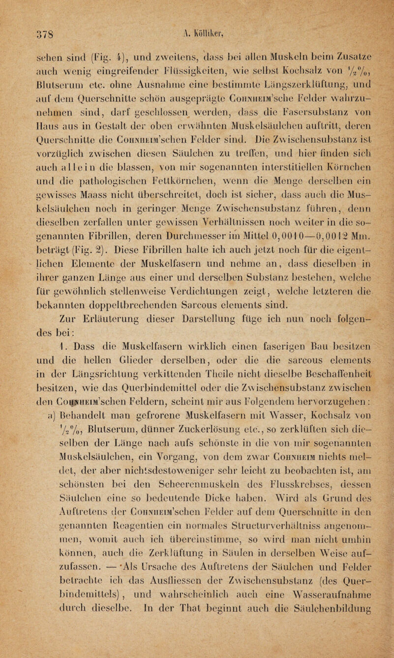 sehen sind (Fig. 4), und zweitens, dass bei allen Muskeln beim Zusatze auch wenig eingreifender Flüssigkeiten, wie selbst Kochsalz von %%, Blutserum etc. ohne Ausnahme eine bestimmte Längszerklüftung, und auf dem Querschnitte schön ausgeprägte CoimnEiM’sche Felder wahrzu¬ nehmen sind, darf geschlossen werden, dass die Fasersubstanz von Haus aus in Gestalt der oben erwähnten Muskelsäulchen auftritt, deren Querschnitte die CoHNiiEiM’schen Felder sind. Die Zwischensubstanz ist vorzüglich zwischen diesen Säulchen zu treffen, und hier finden sich auch allein die blassen, von mir sogenannten interstitiellen Körnchen und die pathologischen Fettkörnchen, wenn die Menge derselben ein gewisses Maass nicht überschreitet, doch ist sicher, dass auch die Mus¬ kelsäulchen noch in geringer Menge Zwischensubstanz führen, denn dieselben zerfallen unter gewissen Verhältnissen noch weiter in die so¬ genannten Fibrillen, deren Durchmesser im Mittel 0,001 0—0,0012 Mm. beträgt (Fig. 2). Diese Fibrillen halte ich auch jetzt noch für die eigent¬ lichen Elemente der Muskelfasern und nehme an, dass dieselben in ihrer ganzen Länge aus einer und derselben Substanz bestehen, welche für gewöhnlich stellenweise Verdichtungen zeigt, welche letzteren die bekannten doppeltbrechenden Sarcous elements sind. Zur Erläuterung dieser Darstellung füge ich nun noch folgen¬ des bei: 1. Dass die Muskelfasern wirklich einen faserigen Bau besitzen und die hellen Glieder derselben, oder die die sarcous elements in der Längsrichtung verkittenden Theile nicht dieselbe Beschaffenheit besitzen, wie das Querbindemittel oder die Zwischensubstanz zwischen den CoHffHEm’schen Feldern, scheint mir aus Folgendem hervorzugehen : a) Behandelt man gefrorene Muskelfasern mit Wasser, Kochsalz von '%%, Blutserum, dünner Zuckerlösung etc., so zerklüften sich die¬ selben der Länge nach aufs schönste in die von mir sogenannten Muskelsäulchen, ein Vorgang, von dem zwar Cohnheim nichts mel¬ det, der aber nichtsdestoweniger sehr leicht zu beobachten ist, am schönsten bei den Scheeremnuskeln des Flusskrebses, dessen Säulchen eine so bedeutende Dicke haben. Wird als Grund des Auftretens der ConNHEiM’schen Felder auf dem Querschnitte in den genannten Reagentien ein normales Structurverhältniss angenom- womit auch ich übereinstimme, so wird man nicht umhin ö men können, auch die Zerklüftung in Säulen in derselben Weise auf¬ zufassen. — *Als Ursache des Auftretens der Säulchen und Felder betrachte ich das Ausfliessen der Zwischensubstanz (des Quer- bindcmittels) , und wahrscheinlich auch eine Wasseraufnahme durch dieselbe. In der That beginnt auch die Säulchenbildung