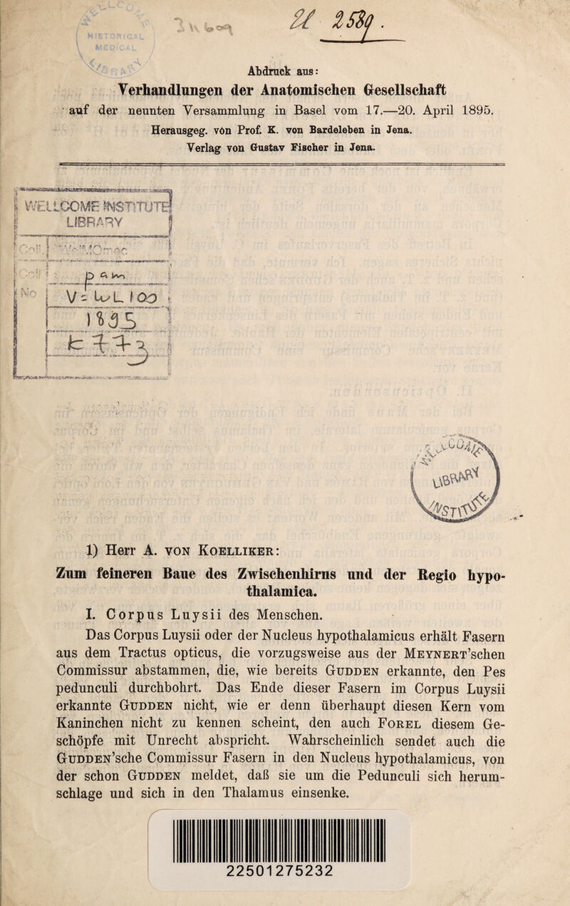 2/ 2S8p Abdruck aus: Verhandlungen der Anatomischen Gesellschaft auf der neunten Versammlung in Basel vom 17.—20. April 1895. Herausgeg. vön Prof. K. von Bardeleben in Jena. Verlag von Gustav Fischer in Jena. I WELLCOME (NStiTUTS 1) Herr A. von Koelliker: Zum feineren Baue des Zwischenhirns und der Regio hypo- thalamica. I. Corpus Luysii des Menschen. Das Corpus Luysii oder der Nucleus hypothalamicus erhält Fasern aus dem Tractus opticus, die vorzugsweise aus der MEYNERT’schen Commissur abstammen, die, wie bereits Gudden erkannte, den Pes pedunculi durchbohrt. Das Ende dieser Fasern im Corpus Luysii erkannte Gudden nicht, wie er denn überhaupt diesen Kern vom Kaninchen nicht zu kennen scheint, den auch Forel diesem Ge¬ schöpfe mit Unrecht ab spricht. Wahrscheinlich sendet auch die GüDDEN’sche Commissur Fasern in den Nucleus hypothalamicus, von der schon Gudden meldet, daß sie um die Pedunculi sich herum¬ schlage und sich in den Thalamus einsenke. 22501275232