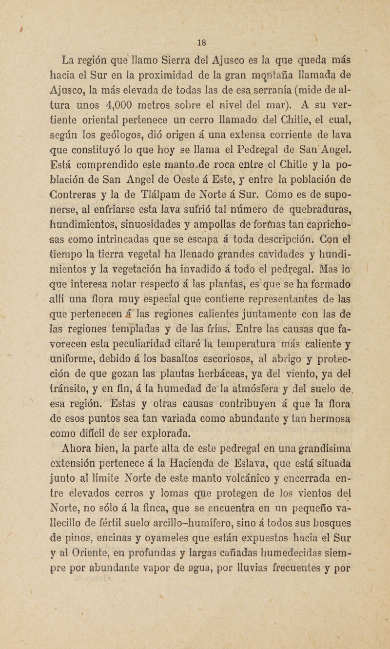 * La región que llamo Sierra del Ajusco es la que queda más hacia el Sur en la proximidad de la gran mqntaña llamada de Ajusco, la más elevada de todas las de esa serranía (mide de al¬ tura unos 4,000 metros sobre el nivel del mar). A su ver¬ tiente oriental pertenece un cerro llamado del Chitie, el cual, según los geólogos, dió origen á una extensa corriente de lava que constituyó lo que hoy se llama el Pedregal de San Angel. Está comprendido este manto.de roca entre el Chitie y la po¬ blación de San Angel de Oeste á Este, y entre la población de Gontreras y la de Tlálpam de Norte á Sur. Gomo es de supo¬ nerse, al enfriarse esta lava sufrió tal número de quebraduras, hundimientos, sinuosidades y ampollas de formas tan capricho¬ sas como intrincadas que se escapa á toda descripción. Con el tiempo la tierra vegetal ha llenado grandes cavidades y hundi¬ mientos y la vegetación ha invadido á todo el pedregal. Mas lo que interesa notar respecto á las plantas, es que se ha formado allí una flora muy especial que contiene representantes de las que pertenecen é las regiones calientes juntamente con las de las regiones templadas y de las frías. Entre las causas que fa¬ vorecen esta peculiaridad citaré la temperatura más caliente y uniforme, debido á los basaltos escoriosos, al abrigo y protec¬ ción de que gozan las plantas herbáceas, ya del viento, ya del tránsito, y en fin, á la humedad de'la atmósfera y del suelo de. esa región. Estas y otras causas contribuyen á que la flora de esos puntos sea tan variada como abundante y tan hermosa como difícil de ser explorada. Ahora bien, la parte alta de este pedregal en una grandísima extensión pertenece á la Hacienda de Eslava, que está situada junto al límite Norte de este manto volcánico y encerrada en¬ tre elevados cerros y lomas que protegen de los vientos del Norte, no sólo á la finca, que se encuentra en un pequeño va- llecillo de fértil suelo arcillo-humífero, sino á todos sus bosques de pinos, encinas y oyameles que están expuestos hacia el Sur y al Oriente, en profundas y largas cañadas humedecidas siem¬ pre por abundante vapor de agua, por lluvias frecuentes y por