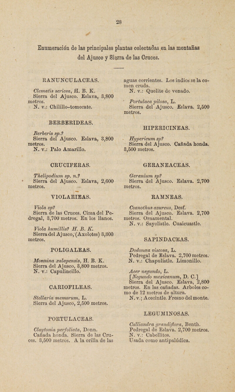 Enumeración de las principales plantas colectadas en las montañas del Ajusco y Sierra de las Cruces. RANUNCULACEAS. Clematis sericea, H. B. K. Sierra del Ajusco. Eslava, 3,800 metros. N. v.: Chilillo-tomecate. BERBERIDEAS. Berberís sp.? Sierra del Ajusco. Eslava, 3,800 metros. N. v.: Palo Amarillo. CRUCIFERAS. Thelipodium sp. n.? Sierra del Ajusco. Eslava, 2,600 metros. YIOLARIEAS. Viola sp? Sierra de las Cruces. Cima del Pe¬ dregal, 3,700 metros. En los llanos. Viola humillis? H. B. K. Sierra del Ajusco, (Axolotes) 3,300 metros. POLIGALEAS. Monnina xalapensis, H. B. K. Sierra del Ajusco, 3,800 metros. N. v.: Capulincillo. CARIOFILEAS. Stellaria memorum, L. Sierra del Ajusco, 2,500 metros. PORTULACEAS. Claytonia perfoliaia, Donn. Cañada honda. Sierra de las Cru¬ ces. 3,500 metros. A la orilla de las aguas corrientes. Los indios se la co¬ men cruda. N. v.: Quelite de venado. ’ Portulaca pilosa, L. Sierra del Ajusco. Eslava. 2,500 metros. HIPERICINEAS. Hypericum sp? Sierra del Ajusco. Cañada honda. 3,500 metros. GERANEACEAS. Geranium sp? Sierra del Ajusco. Eslava. 2,700 metros. RAMNEAS. Ceanoihus azureus, Desf. Sierra del Ajusco. Eslava. 2,700 metros. Ornamental. N. v.: Sayolistle. Cuaicuastle. SAPINDACEAS. Dodoncea viscosa, L. Pedregal de Eslava. 2,700 metros. N. v.: Chapulistle. Limonillo. Acer negundo, L. \_Negundo mexicanum, D. C.] Sierra del Ajusco. Eslava, 2,800 metros. En las. cañadas. Arboles co¬ mo de 12 metros de altura. N. v.; Acecintle. Fresno del monte. LEGUMINOSAS. Calliandra grandiflora, Benth. Pedregal de Eslava. 2,700 metros. N. v.: Cabellitos. Usada como antipalúdica.