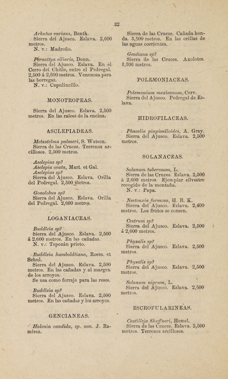 Arbutus varians, Benth. Sierra del Ajusco. Eslava. 2,600 metros. N. v.: Madroño. Pernettya ciliar is, Donn. Sierra del Ajusco. Eslava. En el Cerro del Chitle, entre el Pedregal. 2,500 á 2,600 metros. Venenosa para las borrega^. N. v.: Capulincillo. MONOTROPEAS. Sierra del Ajusco. Eslava. 2,500 metros. En las raíces de la encina. ASCLEPIADEAS. Metastelma palmeri, S. ’Watson. Sierra de las Cruces. Terrenos ar¬ cillosos. 2,500 metros. Asclepias sp? A'sclepia ovala, Mart. et Gal. Asclepias sp? Sierra del Ajusco. Eslava. Orilla del Pedregal. 2,500 metros. Gonolobus sp? Sierra del Ajusco. Eslava. Orilla del Pedregal. 2,600 metros. LOGANIACEAS. Buddleia sp? Sierra del Ajusco. Eslava. 2,500 á 2,600 metros. En las cañadas. N. v.: Tepozán prieto. Buddleia humboldtiana, Roem. et Schul. Sierra del Ajusco. Eslava. 2,500 metros. En las cañadas y al margen de los arroyos. Se usa como forraje para las reses. Buddleia sp? Sierra del Ajusco. Eslava. 2,500 metros. En las cañadas y los arroyos. GENCIANEAS. x Halenia candida, sp. nov. J. Ra¬ mírez. Sierra de las Cruces. Cañada hon¬ da. 3,500 metros. En las orillas de las aguas corrientes. Gentiana sp? Sierra de las Cruces. Axolotes, 3,306 metros. PQLEMONIACEAS. Bolemonium mexica.num, Cerv. Sierra del Ajusco. Pedregal de Es¬ lava. HIDROPILACEAS. Phacelia. pinpinelloides, A. Gray. Sierra del Ajusco. Eslava. 2,500 metros. SOLANACEAS. Solanum tuberosum, L. Sierra de las Cruces. Eslava. 2,500 á 2,600 metros. Ejemplar silvestre recogido de la'montaña. o N. v.: Papa. Nectouxiaformosa, H. B. K. Sierra del Ajusco.. Eslava. 2,400 metros. Los frutos se comen. Cestrum sp? Sierra del Ajusco. Eslava. 2,500 á 2,600 metros. Physalís sp? Sierra del Ajusco. Eslava. 2,500 metros. Physalis sp? Sierra del Ajusco, Eslava. 2,500 metros. > Solanum nigrum, L, Sierra del Ajusco. Eslava. 2,500 metros. ESCROFULA RIÑE AS. Castillera Shaffneri, Hemsl. Sierra délas Cruces. Eslava. 2,500 metros. Terrenos arcillosos.