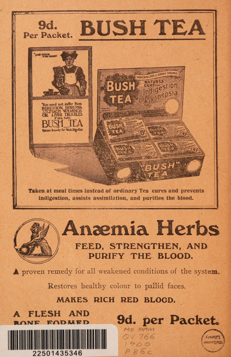 TROUBtE PREVENTS U'SJ^ CUREvs* You need not suffer fro® INDIGESTION, DY5P1FNA STOMACH WAKND& CR LIVER TROUBLES jTycu. take ffttura Rsnidy for ^tik-DfjpfiDQ 9d. Per Packet. BUSH TEA Taken at meal times instead of ordinary Tea cures and prevents v indigestion, assists assimilation, and purifies the blood. Anaemia Herbs FEED, STRENGTHEN, AND PURIFY THE BLOOD. A proven remedy for all weakened conditions of the system,, Restores healthy colour to pallid faces. MARES RICH RED BLOOD. A FLESH AND RrtNP mDMRD 9d. per Packet* y ,s ’ t_. 22501435346