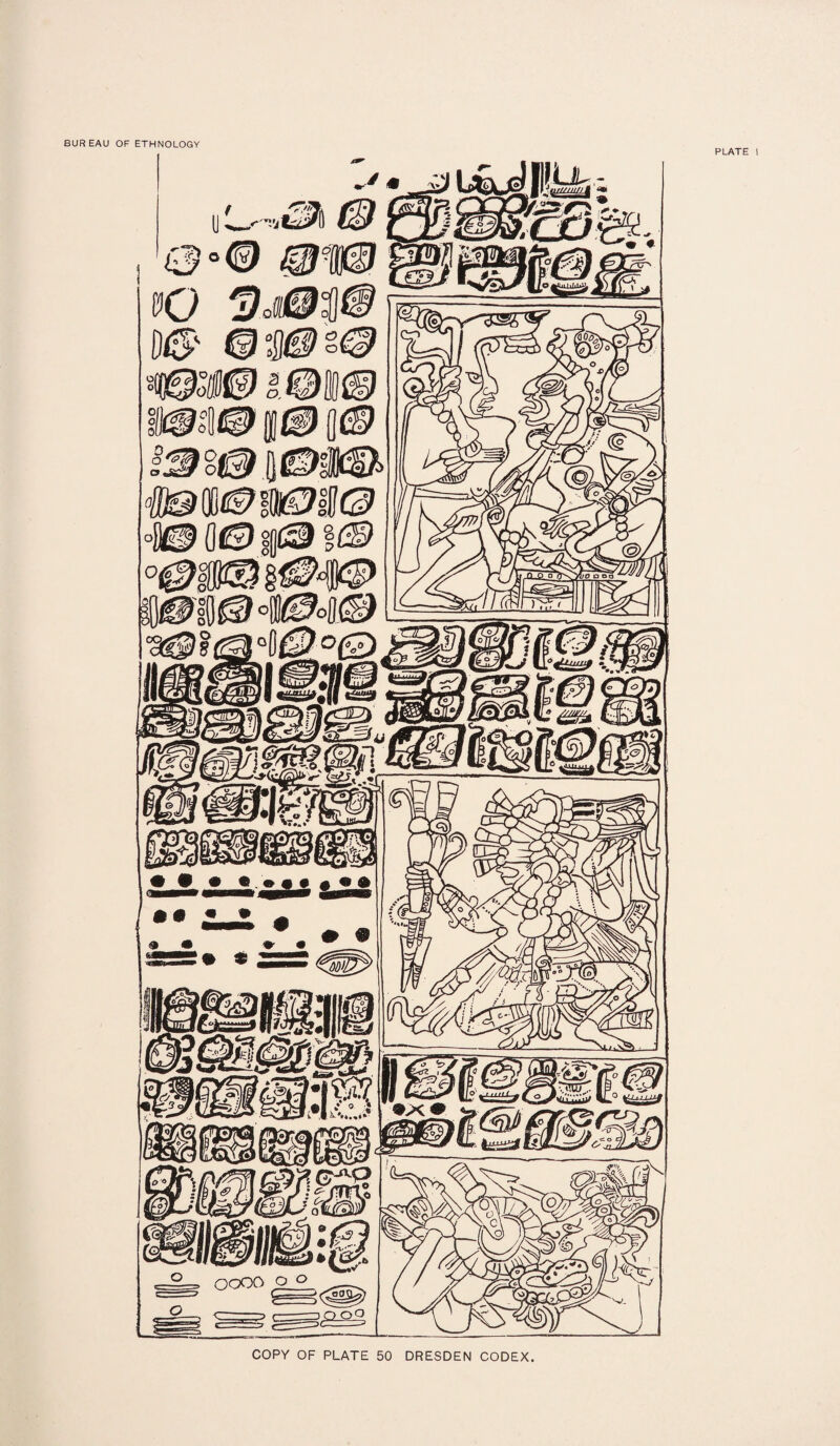 BUREAU OF ETHNOLOGY PLATE ! COPY OF PLATE 50 DRESDEN CODEX.