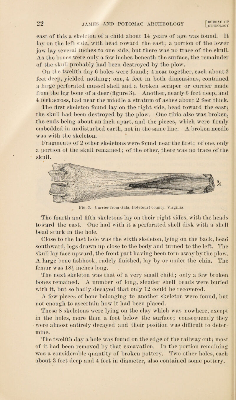 east of this a skeleton of a child about 14 years of age was found. It lay on the left side, with head toward the east5 a portion of the lower jaw lay several inches to one side, but there was no trace of the skull. As the bones were only a few inches beneath the surface, the remainder of the skull probably had been destroyed by the plow. On the twelfth day 0 holes were found. 5 4 near together, each about 3 feet deep, yielded nothing; one, 4 feet in both dimensions, contained a large perforated mussel shell and a broken scraper or currier made from the leg bone of a deer (figure 3). Another, nearly G feet deep, and 4 feet across, had near the middle a stratum of ashes about 2 feet thick. The first skeleton found lay on the right side, head toward the east; the skull had been destroyed by the plow. One tibia also was broken, the ends being about an inch apart, and the pieces, which were firmly embedded in undisturbed earth, not in the same line. A broken needle was with the skeleton. Fragments of 2 other skeletons were found near the first; of one, only a portion of the skull remained; of the other, there was no trace of the skull. The fourth and fifth skeletons lay on their right sides, with the heads toward the east. One had with it a perforated shell disk with a shell bead stuck in the hole. Close to the last hole was the sixth skeleton, lying on the back, head southward, legs drawn up close to the body and turned to the left. The skull lay face upward, the front part having been torn away by the plow. A large bone fishhook, rudely finished, lay by or under the chin. The femur was 18J inches long. The next skeleton was that of a very small child; only a few broken bones remained. A number of long, slender shell beads were buried with it, but so badly decayed that only 12 could be recovered. A few pieces of bone belonging to another skeleton were found, but not enough to ascertain how it had been placed. These 8 skeletons were lying on the clay which was nowhere, except in the holes, more than a foot below the surface; consequently they were almost entirely decayed and their position was difficult to deter¬ mine. The twelfth day a hole was found on the edge of the railway cut; most of it had been removed by that excavation. In the portion remaining was a considerable quantity of broken pottery. Two other holes, each about 3 feet deep and 4 feet in diameter, also contained some pottery.