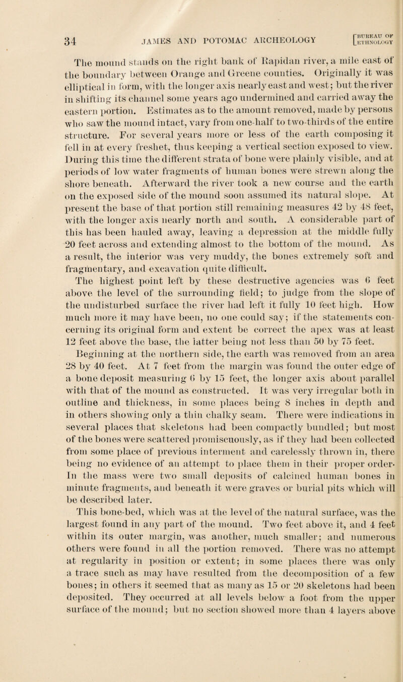 The mound stands on the right bank of Bapidan river, a mile east of the boundary between Orange and Greene counties. Originally it was elliptical in form, with the longer axis nearly east and Avest 5 but the river in shifting its channel some years ago undermined and carried away the eastern portion. Estimates as to the amount removed, made by persons who saAv the mound intact, vary from one-lialf to two-thirds of the entire structure. For several years more or less of the earth composing it fell in at every freshet, thus keeping a vertical section exposed to Anew. During this time the different strata of bone Avere plainly visible, and at periods of low water fragments of human bones were strewn along the shore beneath. Afterward the river took a neAv course aud the earth on the exposed side of the mound soon assumed its natural slope. At present the base of that portion still remaining measures 42 by 48 feet, with the longer axis nearly north and south. A considerable part of this has been hauled away, leaving a depression at the middle fully 20 feet across and extending almost to the bottom of the mound. As a result, the interior was very muddy, the bones extremely soft and fragmentary, and excavation quite difficult. The highest point left by these destructive agencies Avas 0 feet above the level of the surrounding held; to judge from the slope of the undisturbed surface the river had left it fully 10 feet high. How much more it may have been, no one could say, if the statements con¬ cerning its original form and extent be correct the apex was at least 12 feet above the base, the latter being not less than 50 by 75 feet. Beginning at the northern side, the earth Avas removed from an area 28 by 40 feet. At 7 feet from the margin was found the outer edge of a bone deposit measuring 0 by 15 feet, the longer axis about parallel Avitli that of the mound as constructed. It Avas very irregular both in outline and thickness, in some places being 8 inches in depth and in others showing only a thin chalky seam. There were indications in several places that skeletons had been compactly bundled; but most of the bones Avere scattered promiscuously, as if they had been collected from some jffaee of previous interment and carelessly thrown in, there being 110 evidence of an attempt to place them in their proper order* In the mass were tAvo small deposits of calcined human bones in minute fragments, and beneath it Avere graves or burial pits Avhich will be described later. This bone-bed, Avhich was at the level of the natural surface, Avas the largest found in any part of the mound. Two feet aboAre it, and 4 feet within its outer margin, Avas another, much smaller; and numerous others were found in all the portion removed. There Avas 110 attempt at regularity in position or extent; in some places there Avas only a trace such as may have resulted from the decomposition of a few bones; in others it seemed that as many as 15 or 20 skeletons had been deposited. They occurred at all levels below a foot from the upper surface of the mound; but no section showed more than 4 layers above
