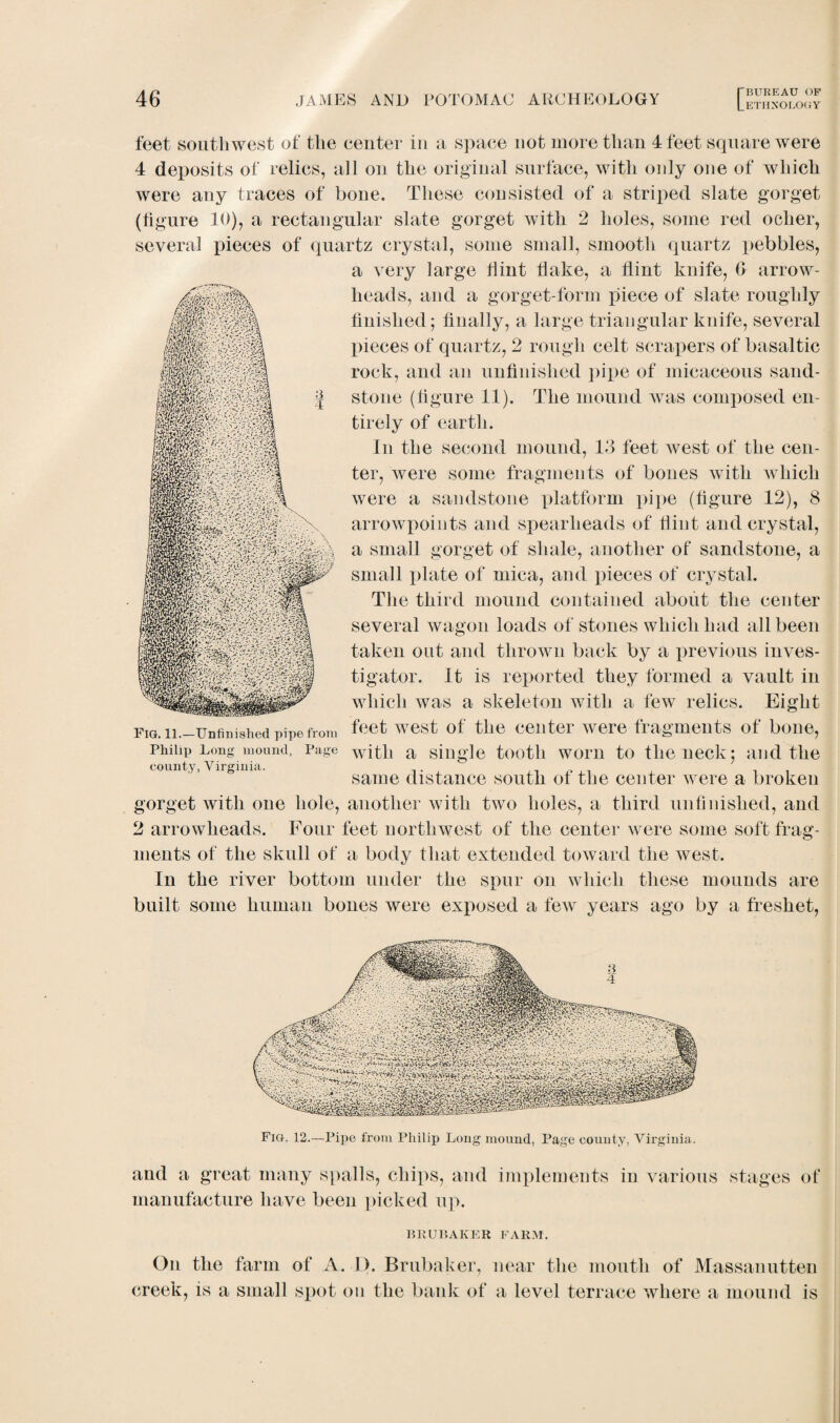 Lethnolooy feet southwest of the eenter in a space not more than 4 feet square were 4 deposits of relics, all on the original surface, with only one of which were any traces of bone. These consisted of a striped slate gorget (figure 10), a rectangular slate gorget with 2 holes, some red ocher, several pieces of quartz crystal, some small, smooth quartz pebbles, a very large Hint Hake, a flint knife, 6 arrow¬ heads, and a gorget-form piece of slate roughly finished; finally, a large triangular knife, several pieces of quartz, 2 rough celt scrapers of basaltic rock, and an unfinished pipe of micaceous sand¬ stone (figure 11). The mound was composed en¬ tirely of earth. In the second mound, 13 feet west of the cen¬ ter, were some fragments of bones with which were a sandstone platform pipe (figure 12), 8 arrowpoints and spearheads of Hint and crystal, a small gorget of shale, another of sandstone, a small plate of mica, and pieces of crystal. The third mound contained about the center several wagon loads of stones which had all been taken out and thrown back by a previous inves¬ tigator. It is reported they formed a vault in which was a skeleton with a few relics. Eight fig. li.-Unfinished pipe from feet west of the center were fragments of bone, Philip Long mound, Page with a single tooth worn to the neck; and the same distance south of the center were a broken gorget with one hole, another with two holes, a third unfinished, and 2 arrowheads. Four feet northwest of the center were some soft frag¬ ments of the skull of a body that extended toward the west. In the river bottom under the spur on which these mounds are built some human bones were exposed a few years ago by a freshet, Fig. 12.—Pipe from Philip Long mound, Page county, Virginia. and a great many spalls, chips, and implements in various stages of manufacture have been picked up. BRUBAKER FARM. Ou the farm of A. I). Brubaker, near the mouth of Massanutten creek, is a small spot on the bank of a level terrace where a mound is