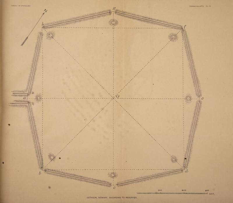 THOMAS EULLETiN PL. IV I — * .iUt 400 600 OCTAGON, NEWARK. ACCORDING TO RESURVEY 200 l