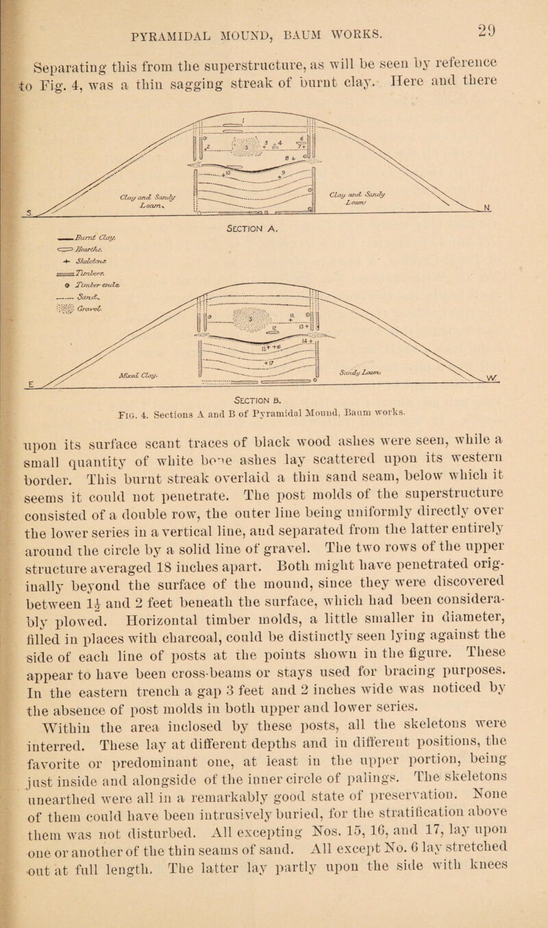 29 Separating tliis from the superstructure, as will be seen by reference to Fig. 4, was a thin sagging streak of burnt clay. Here ancl there Section a, _ Burnt Cloy. .Hearths. *4- Skeletons'. j.nn.jrr, Tien kero. Section b. Fig. 4. Sections A and B of Pyramidal Mound, Baum works. upon its surface scant traces of black wood ashes were seen, while a small quantity of white bone ashes lay scattered upon its western border. This burnt streak overlaid a thin sand seam, below which it seems it could not penetrate. The post molds of the superstructure consisted of a double row, the outer line being uniformly directly over the lower series in a vertical line, and separated from the latter entirely around the circle by a solid line of gravel. The two rows of the upper structure averaged 18 inches apart. Both might ha^e penetrated orig¬ inally beyond the surface of the mound, since they were discovered between 14 and 2 feet beneath the surface, which had been considera¬ bly plowed. Horizontal timber molds, a little smaller in diameter, filled in places with charcoal, could be distinctly seen lying against the side of each line of posts at the points shown in the figure. These appear to have been cross beams or stays used for bracing purposes. In the eastern trench a gap 3 feet and 2 inches wide was noticed by the absence of post molds in both upper and lower series. Within the area inclosed by these posts, all the skeletons were interred. These lay at different depths and in different positions, the favorite or predominant one, at least in the upper portion, being just inside and alongside of the inner circle of palings. The skeletons unearthed were all in a remarkably good state oi preservation. None of them could have been intrusively buried, for the stratification above them was not disturbed. All excepting Nos. 15, 16, and 17, lay upon one or another of the thin seams of sand. All except No. 6 lay stretched out at full length. The latter lay partly upon the side with knees