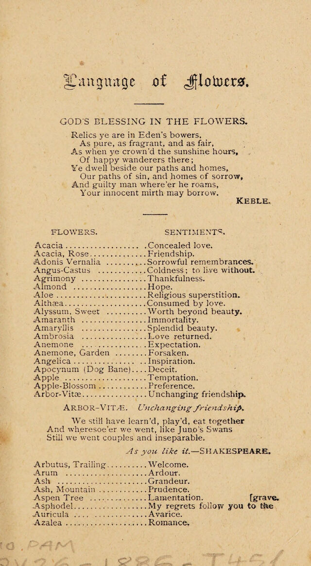 digitised image 3