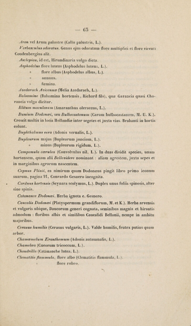 sir on vel Arum palustre (Callu palustris, L.). Verbasculus odoratus. Genus ejus odoratum flore multiplici eL flore virenli Coudenbergius alit. Asclépios, id est, Hirundinaria vulgo dicta. Asphodelus flore luteus (Asphodelus luteus, L.). » flore albus (Asphodelus albus, L.). » annuus. « fœmina. Azedarach Avicennœ (Melia Azedarach, L.). Balsamine (Balsamina hortensis, Richard fils), quæ Garancia quasi Cha- rancia vulgo dicitur. Blitum maculasum (Amaranthus oleraceus, L.). Bunium Dodonœi, seu Bulbocastanum (Carum bulbocastanum, M. U. K,). Crescit multis in locis Hollandiæ inter segetes et juxta vias. Brabanti in hortis colunt. Buphfhalmus vera (Adonis vernalis, L.). Bupleurum majus (Bupleurum juncium, L.). » minus (Bupleurum rigidum. L.). Campanula cœrulea (Convolvulus nil, L.). In duas dividit species, unam hortensem, quam alii Bellevidere norninant : aliara agrestem, juxta sepes et in marginibus agrorum nascentem. Capnns Plinii, ea nimirum quam Dodonæus pingit îibro primo iconum suarum, pagina 21, Conrardo Gesnero incognita, Carduus hortensis (Scynara scolymus, L.). Duplex unus foliis spinosis, aller sine spinis. Catanance Dodonœi. Herba ignota e. Gesnero. Caucalis Dodonœi (Platyspermum grandiflorum, M. et K.). Herba arvensis et vulgaris ubique, Daucorum generi cognata, seminibus magnis et hirsutis admodum : floribus albis et similibus Caucalidi Bellonii, nempe in ambitu majoribus. Cerasus humilis (Cerasus vulgaris, L.). Valde humilis, frutex potius quam arbor. Chamœmclum Eranthemum (Adonis aulumnalis, L.). Chamelœa (Cneorum tricoccum, L.). Chondrilla (Catànanche lutea, L.). Clcmutitis flammula. flore albo (Clematitis flammula, L.). » flore rubro.
