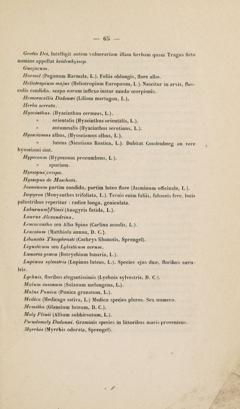 Gratm Dei, Intelligit autem vulnerariam illam herbam quam Tragus ficto nomine appellat hotdenhyssop. Guajacum. H arm cl (Peganura Harmala, L.). Foliis oblongis, flore albo. Heliotropium majus (Heliotropium Europæum, L.). Nascitur in arvis, flos- culis candidis. scapo eorum inflexo instar caudæ scorpionis. Hcmcrocallis Dodonœi (Lilium martagon, L.). Hcrba scrrata. Hyacinthus. (Hyacinthus cernuus, L.). » orientalis (Hyacinthus orientalis, L.). « autumnalis (Hyacinthus serotinus, L.). Hyosciamus albus, (Hyosciamus albus, L.). « luteus (Nicoliana Ruslica, L.). Dubitat Coudenberg an vere byosciami sint. Hypecoum (flypecouni procumbens, L.). » spurium. Hyssop us c rispa. Hyssopus de Moschata. Jasminum partim candido, partim luteo flore (Jasminum officinale, L.). Isopyron (Menyanthes trifoliata, L.). Ternis enim foliis, fabaceis fere, locis palustribus reperitur : radice longa, geniculata. Laburnum\Plinn (Anagyris fætida, L.). Laurus Alexandrina. Leucacantha seu Alba Spina (Carlina acaulis, L.). Leucoium (Matthiola annua, D. C.). Pibanotis Theophrasti (Cachrys libanolis, Sprengel). Ligusticum seu Lybislicnm verum. Lunciria yrœca (Botrychium lunaria, L.). Lupinus sylvestris (Lupinus luteus, L.). Species ejus duæ, floribus cæru- leis. Lychnis, floribus elegantissimis (Lychnis sylvestris, D. C.). Malum insanum (Solanum melongena, L.). Malus Punica (Puniea granatura, L.). Mcdtca (Medicago sativa, L.) Medicæ species plures. Sex numéro, Memitha (Glaucium luteum, D. C.). Moly Plinii (Allium subhirsutum, L.). Pseudomoly Dodonœi. Graminis species in litloribus maris proveniens, Myrrhis (IVfyrrhis odorat#, Sprengel). • /