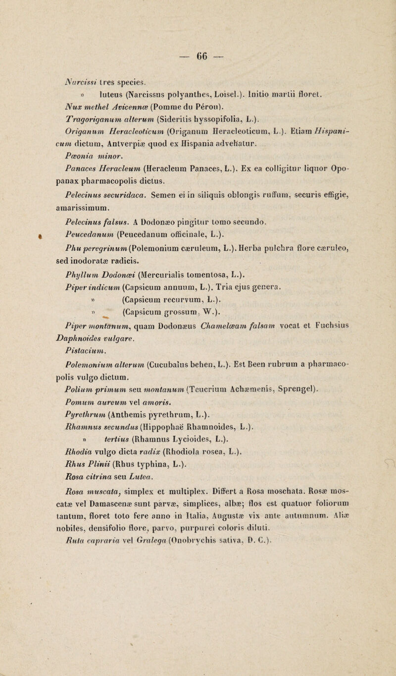 Narcissi 1res species. » lüteus (Narcissus polvanthes, Loisel.). initio marlii floret. Nux methel Avicennœ (Pomme du Pérou). Tragoriganum alterum (Sideritis hyssopifolia, L.). Origanum Heracleoticum (Origanum ïïeraeleoticum, L.). Etiam Hispani- cum dictum, Antverpiæ quod ex Hispania advehatur, Pæonia minor. Panaces Heracleum (Heracleum Panaces, L.). Ex ea colligitur liquor Opo- panax pharmacopolis dictus. Pelecinus securidaca. Semen ei in siliquis obîongis ruffura, seeuris effigie, amarissimum. Pelecinus falsus. A Dodonæo pingitur tomo secundo. Peucedanum (Peucedanum officinale, L.). Phu peregrinum(Polemonium cæruleum, L.).Herba pulcbra flore cæruîeo, sed inodoratæ radicis. Phyllum Dodonœi (Mercurialis tomentosa, L.). Piper indicum (Capsicum annuum, L.). Tria ejus généra. « (Capsicum recurvum, L.). « (Capsicum grossum. W.). Piper montanum, quant Dodonæus Chamelœam faisant voeat et Fuchsius Daphnoides vulgcire. Pistacium. Polemonium alterum (Cucubaîus behen, L.). Est Been rubrum a pharmaco¬ polis vulgo dictum. Polium primum seu montanum (Teucrium Achæmenis, Sprengel). Pomum aureum vel amoris. Pyrethrum (Anthémis pyrelhrum, L.). Rhamnus secundus (Hippophae Rhamnoides, L.). » tertius (Rhamnus Lycioides, L.). Rhodia vulgo dicta radix (Rhodiola rosea, L.). Rhus Plinii (Rhus typhina, L.). Rosa citrina seu Lutea. Rosa muscata, simplex et multiplex. Differt a Rosa moschata. Rosæ mos- catæ vel Damascenæ sunt parvæ, simplices, aîbæ; flos est quatuor foliorum tantum, floret toto fere anno in Italia, Augustæ vis ante aulumnum. Aliæ nobiles, densifolio flore, parvo, purpurei coloris diluti. Ruta capraria vel Gralega (Onobrychis saliva, D. C.).