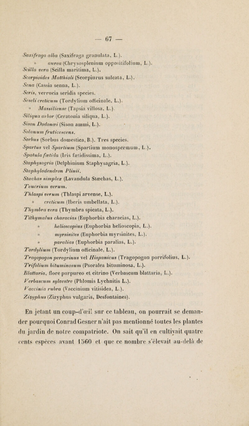 Saxifraga alba (Saxifraga granulata, L.). « aureu (Chrysosplenium oppositifolium, L.). Scilla vera (Scilla raaritima, L.). Scorpioicles Matthioli (Scorpiurus sulcata, L.). Sena (Cassia senna, L.). Sens, verrucia seridis species. Seselicreticum (Tordylium officinale, L.). « Massiliense (Tapsia villosa, L.). Siliqua arbor (Ceratonia siliqua, L.). Sison Dodonœi (Sison ammi, L.). Solarium fruticescens. Sorbus (Sorbus domeslica, B.). Très species. Spartus vel Spartium (Spartium monospermum, L.). Spatulafœtida (Iris fælidissima, L.). Staphysagria (Delphinium Staphysagria, L.). Siaphylodendron Plinii. Stœchas simplex (Lavandula Stœchas, L.). Teucrium vermn. Thlaspi verum (Thlaspi arvense, L.). » creticum (Iberis umbellata, L.). Thymbra verci (Thymbra spicata, L.). Tithymalus charcicias (Euphorbia characias, L.), » helioscopius (Euphorbia helioscopia, L.). « myrsiniles (Euphorbia myrsinites, L.). » paralias (Euphorbia paralias, L.). Tordylium (Tordylium officinale, L.). Trcigopogon peregrinus vel Hispanicus (Tragopogon porrifolius, L.). Trifolium bituminosum (Psoralea bituminosa, L.). Blattaria, flore purpureo et citrino (Verbascum blattaria, L.). Verbascum sylvestre (Phlomis Lychnitis L.). Vaccinia. rubra (Vaccinium vitisidea, L.). Zizyphus (Zizyphus vulgaris, Desfontaines). En jetant un coup-d’œil sur ce tableau, on pourrait se deman¬ der pourquoi Conrad Gesner n’ait pas mentionné toutes les plantes du jardin de notre compatriote. On sait qu’il en cultivait quatre cents espèces avant 1660 et que ce nombre s’élevait au-delà de