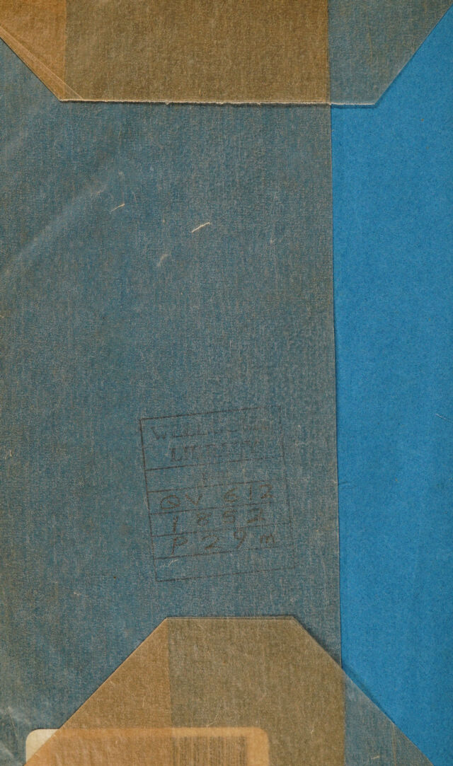 digitised image 2