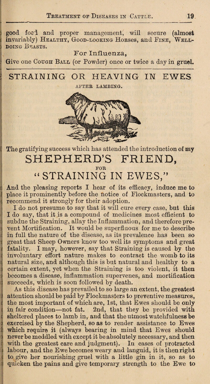 | good food and proper management, will secure (almost invariably) Healthy, Good-looking Honses, and Fine, Well¬ doing Beasts. For Influenza, Give one Cough Ball (or Powder) once or twice a day in gruel. : > ' i i 1 STRAINING OR HEAVING IN EWES AFTER LAMBING. Tlie gratifying success wliicli has attended the introduction of my SHEPHERD’S FRIEND, FOR “STRAINING IN EWES,” And the pleasing reports I hear of its efficacy, induce me to place it prominently before the notice of Flockmasters, and to recommend it strongly for their adoption. I do not presume to say that it will cure every case, but this I do say, that it is a compound of medicines most efficient to subdue the Straining, allay the Inflammation, and therefore pre¬ vent Mortification. It would be superfluous for me to describe in full the nature of the disease, as its prevalence has been so great that Sheep Owners know too well its symptoms and great fatality. I may, however, say that Straining is caused by the involuntary effort nature makes to contract the womb to its natural size, and although this is but natural and healthy to a certain extent, yet when the Straining is too violent, it then becomes a disease, inflammation supervenes, and mortification succeeds, which is soon followed by death. As this disease has prevailed to so large an extent, the greatest attention should be paid by Flockmasters to preventive measures, the most important of which are, 1st, that Ewes should be only in fair condition—not fat. 2nd, that they be provided with sheltered places to lamb in, and that the utmost watchfulness be exercised by the Shepherd, so as to render assistance to Ewes which require it (always bearing in mind that Ewes should never be meddled with except it be absolutely necessary, and then with the greatest care and judgment). In cases of protracted labour, and the Ewe becomes weary and languid, it is then right to give her nourishing gruel with a little gin in it, so as to quicken the pains and give temporary strength to the Ewe to