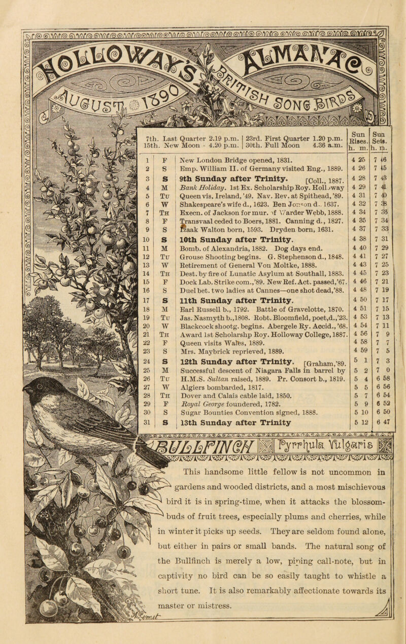 y J| 7th. Last Quarter 2.19 p.m. 15th. New Moon 4.20 p.m. /'/Si** 23rd. First Quarter 1.20 p.m. - 30th. Full Moon 4.36 a.m. j « ' 1 F New London Bridge opened, 1831. 2 S Emp. William II. of Germany visited Eng., 1889. m 3 s 9th Sunday after Trinity. [Coll., 1887. wm 4 M Bank Holiday. 1st Ex. Scholarship Roy. Roll jway IS| 5 Tu Queen vis. Ireland, ’49. Nav. Rev. at Spithead, ’89. j rip 6 W Shakespeare’s wife d., 1623. Ben Joiuon d., 1637. jjjaa 7 Th Execn. of Jackson for mur. T \7arder Webb, 1888. nn 8 F Transvaal ceded to Boers, 1881. Canning d., 1827. 9 S Kaak Walton born , 1593. Dryden born, 1631. nn 10 s 10th Sunday after Trinity. gp&f 11 M Bomb, of Alexandria, 1882. Dog days end. ggi 12 Tu Grouse Shooting begins. G. Stephenson d., 1848. 13 W Retirement of General Yon Moltke, 1888. p| 14 Th Dest. by fire of Lunatic Asylum at Southall, 1883. 15 F Dock Lab. Strike com.,’89. New Ref. Act. passed,’67. 16 S Duel bet. two ladies at Cannes—one shot dead,’88. ^ss 17 s 11th Sunday after Trinity. 18 M Earl Russell b., 1792. Battle of Gravelotte, 1870. 19 Tu Jas. Nasmythb.,1808. Robt. Bloomfield, poet,d.,’23. Jp 20 W Blackcock shootg. begins. Abergele Ry. Accid., ’68. 21 Th Award 1st Scholarshp Roy. Holloway College, 1887. 22 F Queen visits Walbs, 1889. Ifbi 23 S Mrs. Maybrick reprieved, 1889. Sfc 24 S 12th Sunday after Trinity. [Graham,’89. 25 M Successful descent of Niagara Falls in barrel by ill 26 Tu H.M.S. Sultan raised, 1889. Pr. Consort b., 1819. pH 27 W Algiers bombarded, 1817. Uiff 28 Th Dover and Calais cable laid, 1850. pill 29 F Royal George foundered, 1782. 'id 30 S Sugar Bounties Convention signed, 1888. m 31 s I3th Sunday after Trinity 6 47 S) /^S) ■%,*<?) A (5/£,<*) ASAi-IAiaA^.AP r»/^ q ^\P ^ g/^-P /Ss S> /&.(? /^.S)/fry 7^1 UhhFINm 111 F^ufe WS^s 1 This handsome little fellow is not uncommon in gardens and wooded districts, and a most mischievous bird it is in spring-time, when it attacks the blossom- buds of fruit trees, especially plums and cherries, while in winter it picks up seeds. They are seldom found alone, but either in pairs or small bands. The natural song of the Bullfinch is merely a low, piping call-note, but in captivity no bird can be so easily taught to whistle a short tune. It is also remarkably affectionate towards its master or mistress.