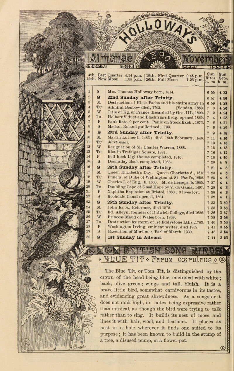 4th. Last Quarter 4.14 p.m. 1 19th. First Quarter 0.45 p.m. 12th. New Moou 1.38 p.m. | 26th. Full Moon 1.23 p.m. Sun Rises, h. m. Sun Sets, h. m. 1 S Mrs. Thomas Holloway born, 1814. 6 55 4 32 2 S 22nd Sunday after Trinity. 6 57 4 30 3 M Destruction of Hicks Pacha and his entire army in 6 59 4 28 4 Tu Admiral Benbow died, 1702. [Soudan, 1883. 7 0 4 20 5 W Title of Kg. of France discarded by Geo. III., 1800. 7 2 4 24 6 Th HolbornV’duct and Blackfriars Brdg. opened 1869. 7 4 4 23 7 F Bank Rate, 9 per cent. Panic on Stock Exch., 1873. 7 6 4 21 8 S Madam Roland guillotined, 1793. 7 8 4 20 9 s 23rd Sunday after Trinity. 7 9 4 18 10 M Martin Luther b. 1483; died 18th February, 1546. 7 11 4 10 11 Tu Martinmas. 7 13 4 15 12 W Resignation of Sir Charles Warren, 1888. 7 15 4 13 13 Th Riot in Trafalgar Square. 1887. 7 16 4 12 14 F Bell Rock Lighthouse completed, 1810. 7 18 4 10 15 S Doomsday Book completed, 1086. 7 20 4 9 16 s 24th Sunday after Trinity. 7 21 4 8 17 M Queen Elizabeth’s Day. Queen Charlotte d., 1818 7 23 4 0 18 Tu Funeral of Duke of Wellington at St. Paul’s, 1852. 7 25 4 5 19 W Charles I. of Eng., b. 1600. M. de Lesseps, b. 1805. 7 27 4 4 20 Th Doubling Cape of Good Hope by V. da Gama, 1497. 7 28 4 3 21 F Naphtha Explosion at Bristol, 1888 ; 3 lives lost. 7 30 4 2 22 S Rochdale Canal opened, 1804. 7 32 4 1 23 s 25th Sunday after Trinity. 7 33 3 59 24 M John Knox, Reformer, died 1572. 7 35 3 58 25 Tu Ed. Alleyn, founder of Dulwich College, died 1626. 7 36 3 57 26 W Princess Maud of Wales born, 1869. 7 38 3 50 27 Th Destruction by storm of 1st Eddystone Lths.,1703. 7 40 3 50 28 F Washington Irving, eminent writer, died 1859. 7 41 3 55 29 S Execution of Mortimer, Earl of March, 1330. 7 43 3 54 30 s 1st Sunday in Advent. 7 44 3 53 Papus cosimleus.*®/ The Blue Tit, or Tom Tit, is distinguished by the crown of the head being blue, encircled with white ; back, olive green; wings and tail, bluish. It is a brave little bird, somewhat carnivorous in its tastes, and evidencing great shrewdness. As a songster it does not rank high, its notes being expressive rather than musical, as though the bird were trying to talk rather than to sing. It builds its nest of moss and lines it with hair, wool, and feathers. It places its nest in a hole wherever it finds one suited to its purpose ; it has been known to build in the stump of a tree, a disused pump, or a flower-pot.