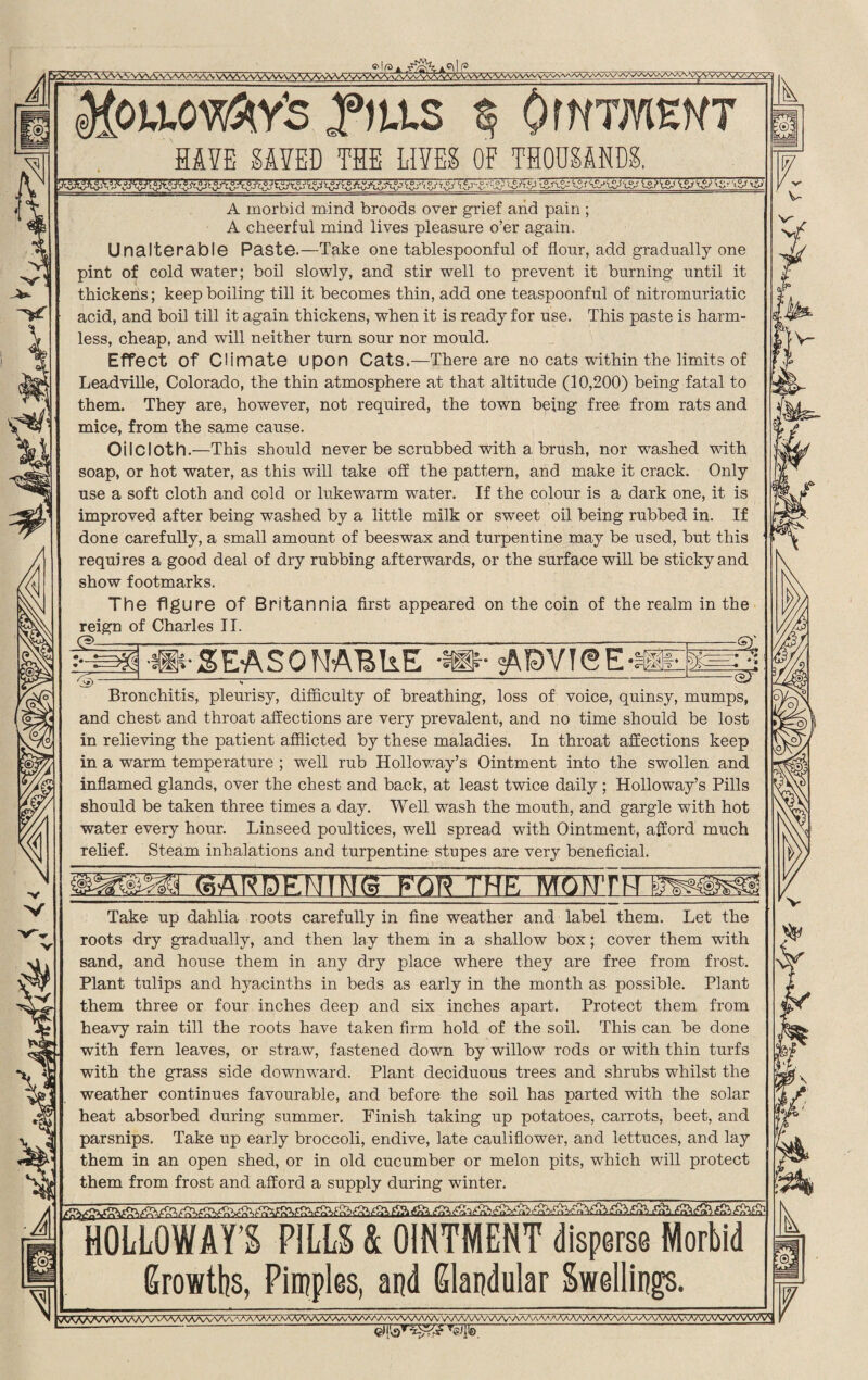 wwvvwv MpwwMs f)u.s q Ommzm HAYE mm THE LIVES OF THOUSANDS. A morbid mind broods over grief and pain ; A cheerful mind lives pleasure o’er again. Unalterable Paste.—Take one tablespoonful of flour, add gradually one pint of cold water; boil slowly, and stir well to prevent it burning until it thickens; keep boiling till it becomes thin, add one teaspoonful of nitromuriatic acid, and boil till it again thickens, when it is ready for use. This paste is harm¬ less, cheap, and will neither turn sour nor mould. Effect Of Climate upon Cats.—There are no cats within the limits of Leadville, Colorado, the thin atmosphere at that altitude (10,200) being fatal to them. They are, however, not required, the town being free from rats and mice, from the same cause. Oilcloth.—This should never be scrubbed with a brush, nor washed with soap, or hot water, as this will take off the pattern, and make it crack. Only use a soft cloth and cold or lukewarm water. If the colour is a dark one, it is improved after being washed by a little milk or sweet oil being rubbed in. If done carefully, a small amount of beeswax and turpentine may be used, but this requires a good deal of dry rubbing afterwards, or the surface will be sticky and show footmarks. The figure Of Britannia first appeared on the coin of the realm in the reign of Charles II. m SEASONABLE AEVTSE <5- yr- iA) C~/A\i~D — QJ Bronchitis, pleurisy, difficulty of breathing, loss of voice, quinsy, mumps, and chest and throat affections are very prevalent, and no time should be lost in relieving the patient afflicted by these maladies. In throat affections keep in a warm temperature ; well rub Holloway’s Ointment into the swollen and inflamed glands, over the chest and back, at least twice daily; Holloway’s Pills should be taken three times a day. Well wash the mouth, and gargle with hot water every hour. Linseed poultices, well spread with Ointment, afford much relief. Steam inhalations and turpentine stupes are very beneficial. GARDENTNg~FQR THE Take up dahlia roots carefully in fine weather and label them. Let the roots dry gradually, and then lay them in a shallow box; cover them with sand, and house them in any dry place where they are free from frost. Plant tulips and hyacinths in beds as early in the month as possible. Plant them three or four inches deep and six inches apart. Protect them from heavy rain till the roots have taken firm hold of the soil. This can be done with fern leaves, or straw, fastened down by willow rods or with thin turfs with the grass side downward. Plant deciduous trees and shrubs whilst the weather continues favourable, and before the soil has parted with the solar heat absorbed during summer. Finish taking up potatoes, carrots, beet, and parsnips. Take up early broccoli, endive, late cauliflower, and lettuces, and lay them in an open shed, or in old cucumber or melon pits, which will protect them from frost and afford a supply during winter. HOLLOWAY’S PILLS & OINTMENT disperse Morbid Growths, Pimples, and Glandular Swellings. W^/OkAAAAAAAA/VWvAA/VvVVv '/AWA'WW\VAWVvW//v'AA/VWV WWWVvVVVVWvVMAAAVWWvvVWMWWVWVV\aAA -Mle. ~~ ■