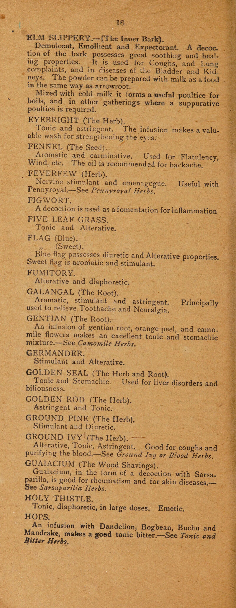 ELM SLIPPERY.—(The Inner Bark’). Demulcent, Emollient and Expectorant, A decoc. Lion of the bark possesses great soothing and heal¬ ing properties. _ It is used for Coughs, and Lung complaints, and in diseases of the Bladder and Kid¬ neys, The powder can be prepared with milk as a food in the same way as arrowroot. Mixed with cold milk it forms a useful poultice for boils, &nd in other gatherings where a suppurative poultice is required. EYEBRIGHT (The Herb). Tonic and astringent. The infusion makes a valu¬ able wash for strengthening the eyes. FENNEL (The Seed). Aromatic and carminative. Used for Flatulency, Wind, etc. The oil is recommended for backache, . FEVERFEW (Herb). Nervine stimulant and emenagogue. Useful with Pennyroyal.—See Pennyroyal Herbs. FIGWORT. A decoction is used as a fomentation for inflammation FIVE LEAF GRASS. Tonic and Alterative. FLAG (Blue). ,, (Sweet). Blue flag possesses diuretic and Alterative properties. Sweet flag is aromatic and stimulant. FUMITORY. Alterative and diaphoretic. GALANGAL (The Root). Aromatic, stimulant and astringent. Principally used to relieve Toothache and Neuralgia. GENTIAN (The Root). An infusion Oi gentian root, orange peel, and camo¬ mile flowers makes an excellent tonic and stomachic mixture.—See Camomile Herbs. GERMANDER. Stimulant and Alterative. GOLDEN SEAL (The Herb and Root). Tonic and Stomachic Used for liver disorders and biliousness. GOLDEN ROD (The Herb). Astringent and Tonic. GROUND PINE (The Herb). Stimulant and Diuretic. GROUND IVY (The Herb).- Alterative, Tonic, Astringent. Good for coughs and purifying the blood.—See Ground Ivy or Blood Herbs. GUAIACIUM (The Wood Shavings). Guaiacium, in the form of a decoction with Sarsa¬ parilla, is good for rheumatism and for skin diseases.— See Sarsaparilla Herbs. HOLY THISTLE. Tonic, diaphoretic, in large doses. Emetic. HOPS. An infusion with Dandelion, Bogbean, Buchu and Mandrake, makes a good tonic bitter.—See Tonic and Bitter Herbs.
