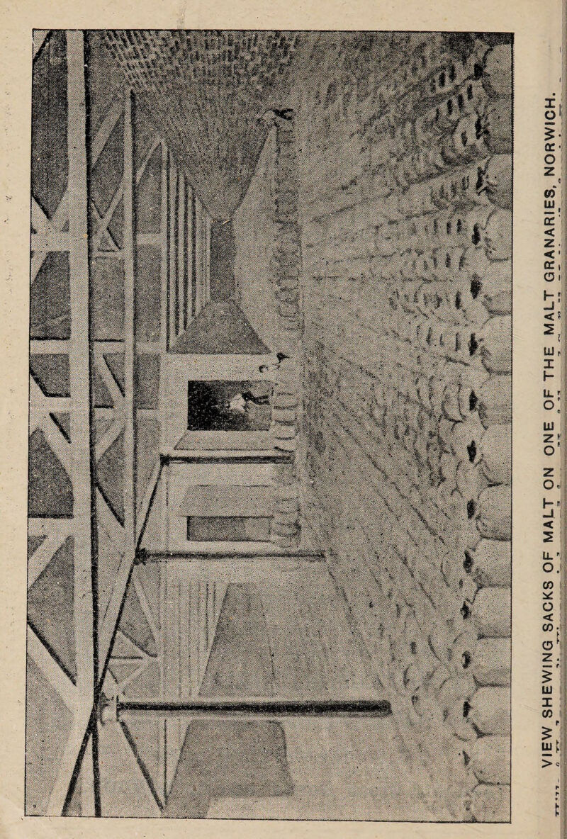 mmmmm VIEW SHEWING SACKS OF MALT ON ONE OF THE MALT GRANARIES, NORWICH,