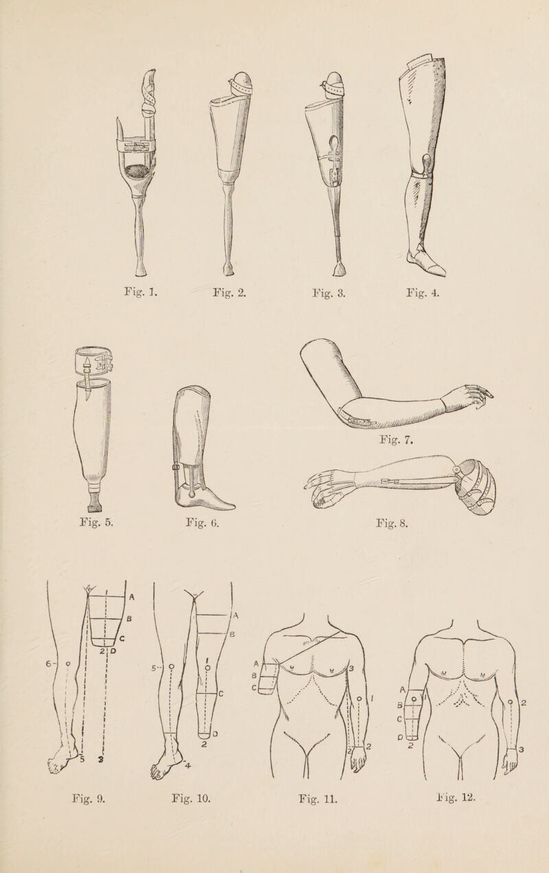 \ Fig. 11. lug. 12.