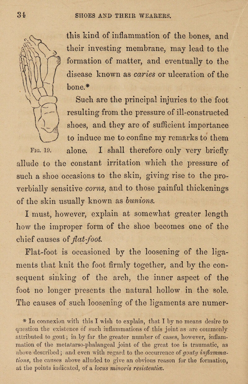 this kind of inflammation of the bones, and their investing membrane, may lead to the formation of matter, and eventually to the disease known as caries or ulceration of the bone.* Such are the principal injuries to the foot resulting from the pressure of ill-constructed shoes, and they are of sufficient importance to induce me to confine my remarks to them alone. I shall therefore only very briefly allude to the constant irritation which the pressure of such a shoe occasions to the skin, giving rise to the pro¬ verbially sensitive corns, and to those painful thickenings of the skin usually known as bunions. I must, however, explain at somewhat greater length how the improper form of the shoe becomes one of the chief causes of flat-foot Flat-foot is occasioned by the loosening of the liga¬ ments that knit the foot firmly together, and by the con¬ sequent sinking of the arch, the inner aspect of the foot no longer presents the natural hollow in the sole. The causes of such loosening of the ligaments are numer- * In connexion with this I wish to explain, that I by no means desire to question the existence of such inflammations of this joint as are commonly attributed to gout; in by far the greater number of cases, however, inflam¬ mation of the metatarso-phalangeal joint of the great toe is traumatic, as above described; and even with regard to the occurrence of gouty inflamma¬ tions■, the causes above alluded to give an obvious reason for the formation, at the points indicated, of a locus minor is resistentice.