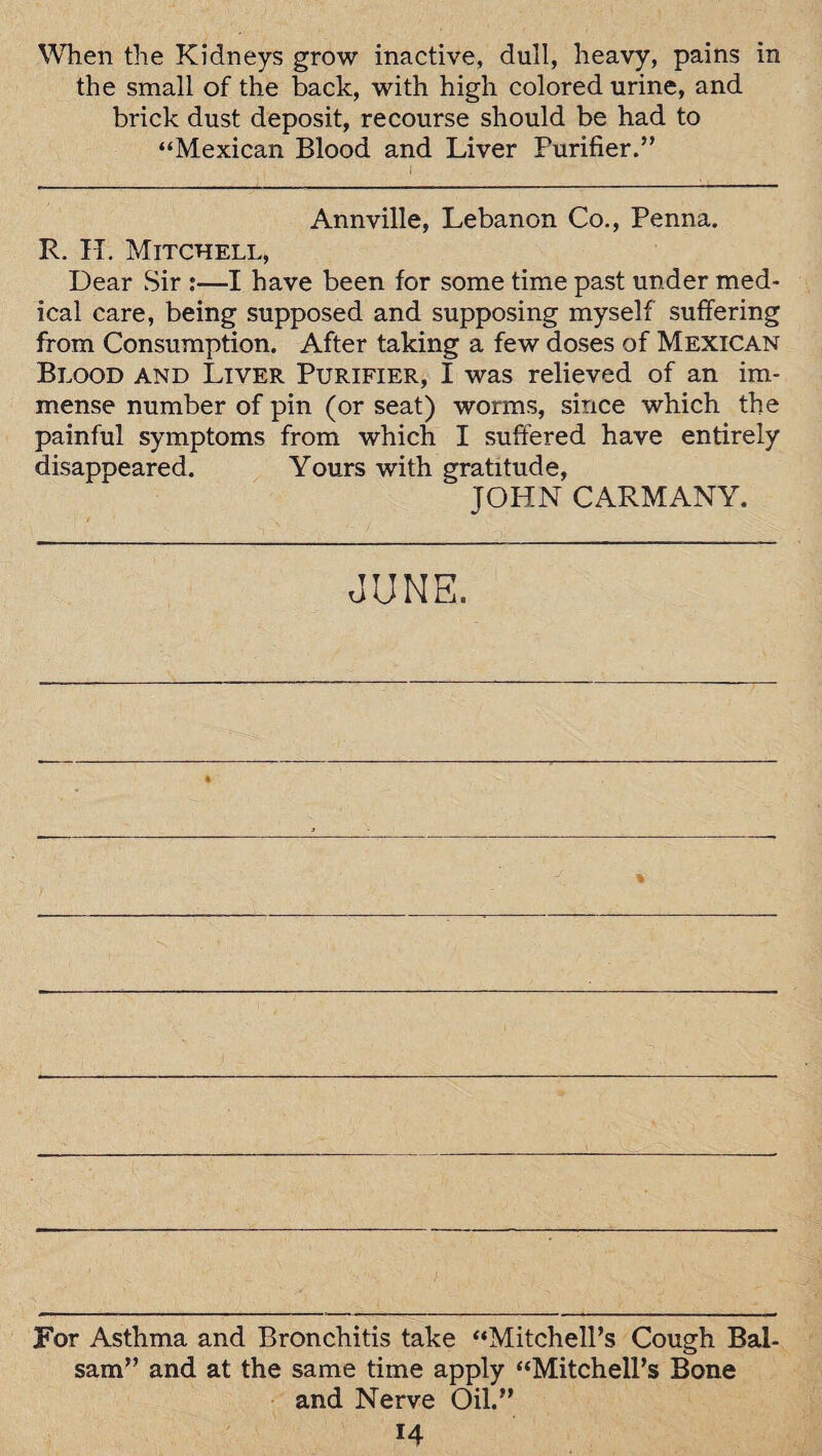 When the Kidneys grow inactive, dull, heavy, pains in the small of the back, with high colored urine, and brick dust deposit, recourse should be had to “Mexican Blood and Liver Purifier.” Annville, Lebanon Co., Penna. R. IT. Mitchell, Dear Sir :—I have been for some time past under med¬ ical care, being supposed and supposing myself suffering from Consumption. After taking a few doses of Mexican Blood and Liver Purifier, I was relieved of an im¬ mense number of pin (or seat) worms, since which the painful symptoms from which I suffered have entirely disappeared. Yours with gratitude, JOHN CARMANY. JUNE. For Asthma and Bronchitis take “Mitchell’s Cough Bal¬ sam” and at the same time apply “Mitchell’s Bone and Nerve Oil.”