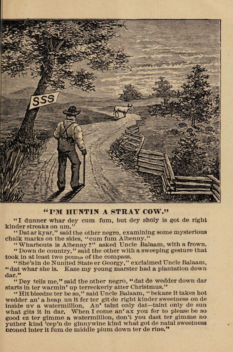 “I’M HUNTIN A STRAY COW.” “I dunner whar dey cum fum, but dey sholy is got de right kinder streaks on urn,” “Datarkyar,” said the other negro, examining some mysterious chalk marks on the sides, “cum fum Albenny.” “Wharbouts is Albenny?” asked Uncle Balaam, with a frown. “ Down de country,” said the other with a sweeping gesture that took in at least two pomvs of the compass. “She’s in de Nunited State er Georgy,” exclaimed Uncle Balaam, “ dat whar she is. Kaze my young marster had a plantation down dar.” “Dey tells me,” said the other negro, “dat de wedder down dar starts in ter warmin’ up terreckerly atter Christmus.” “ Hit bleedze ter be so,” said Uncle Balaam, “ bekaze it takes hot wedder an’ a heap un it fer ter git de right kinder sweetness on de inside uv a watermillion. An’ taint only dat—taint only de sun what gits it in dar. When I come an’ ax you fer to please be so good ez ter gimme a watermillion, don’t you dast ter gimme no yuther kind ’cep’n de ginny wine kind what got de natal sweetness Droned inter it fum de middle plum down ter de rine.”